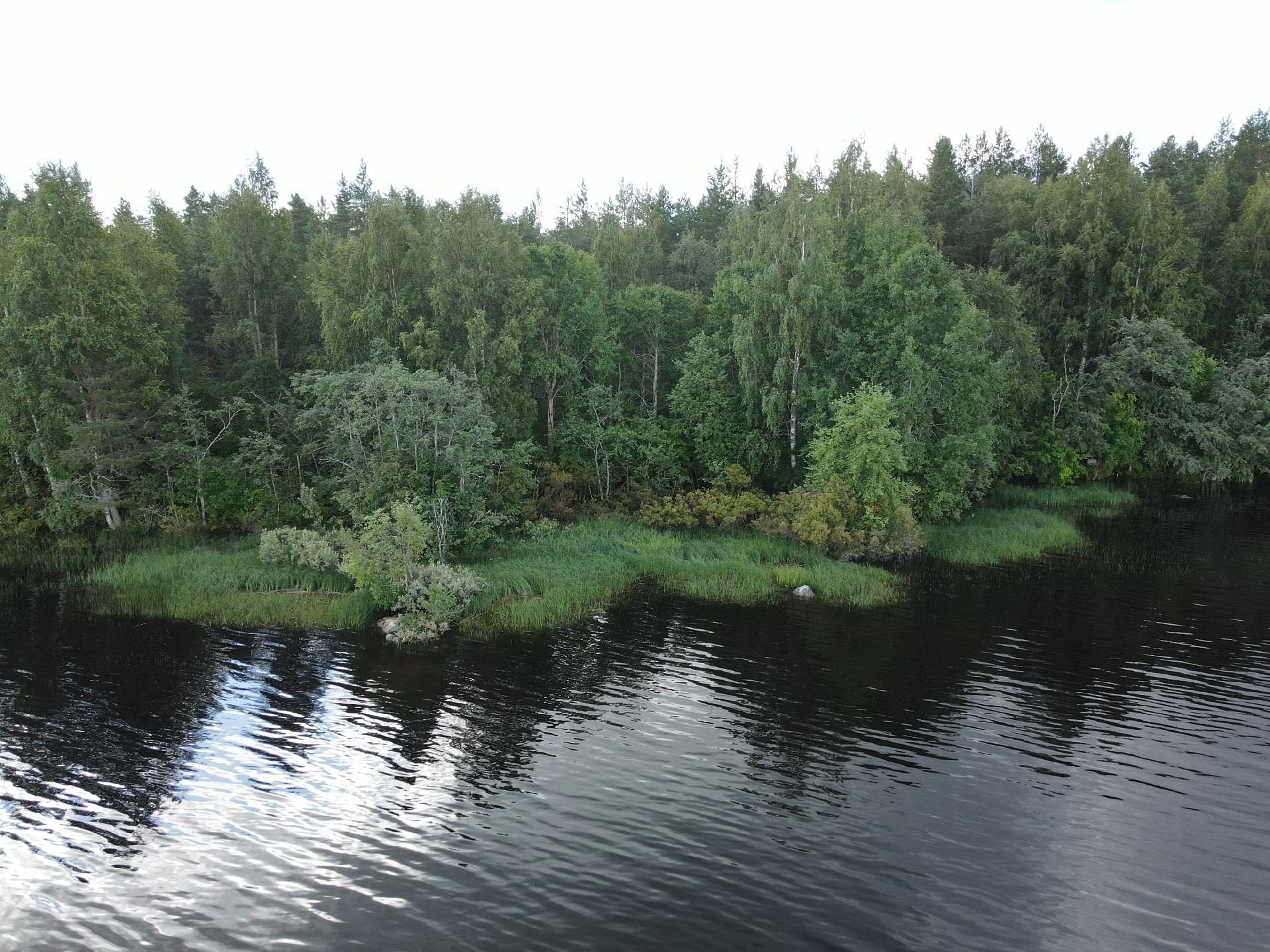 Lehtoniemenpolku 8, Ylisotkamo, Sotkamo