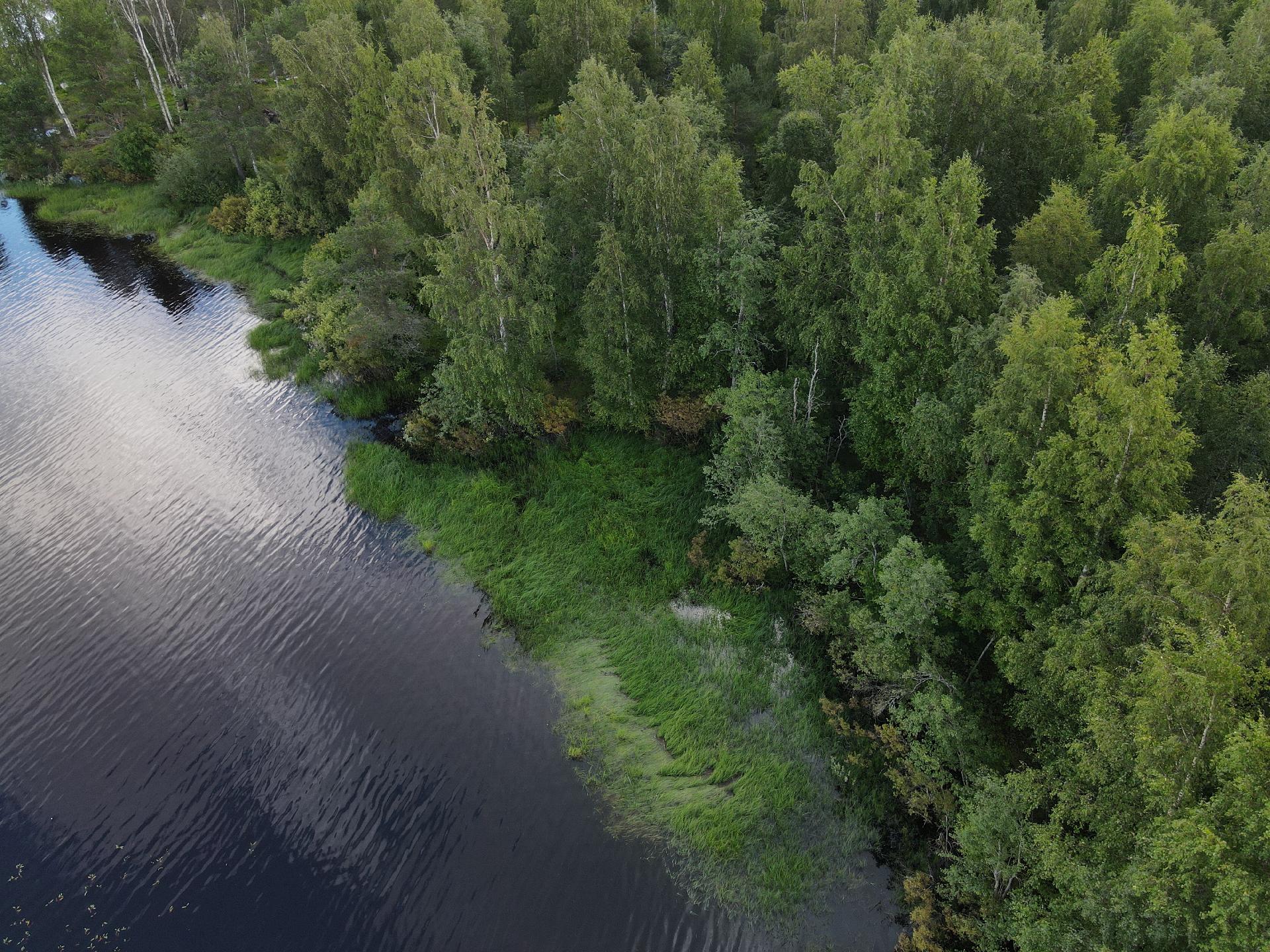 Lehtoniemenpolku 8, Ylisotkamo, Sotkamo