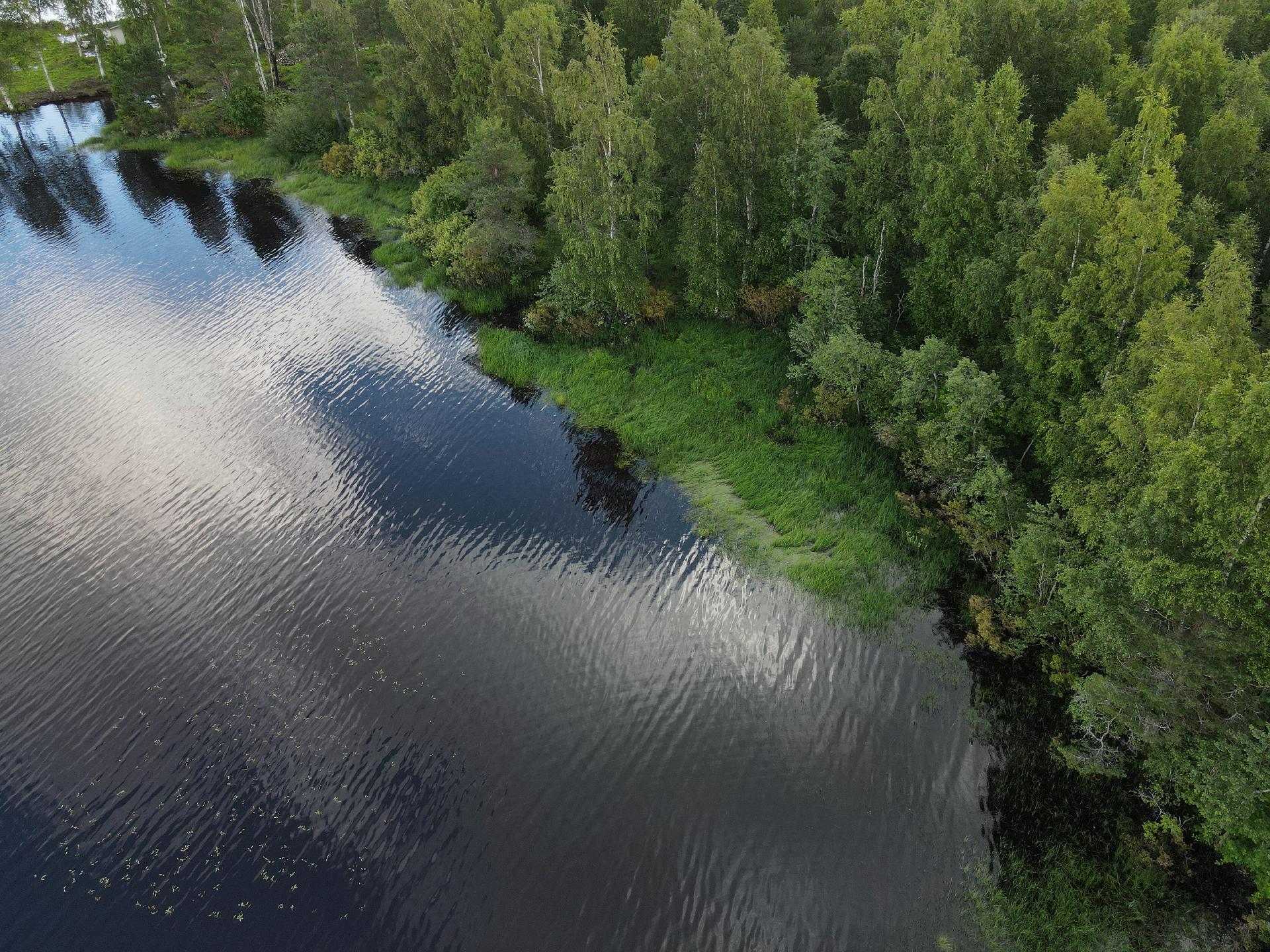 Lehtoniemenpolku 8, Ylisotkamo, Sotkamo