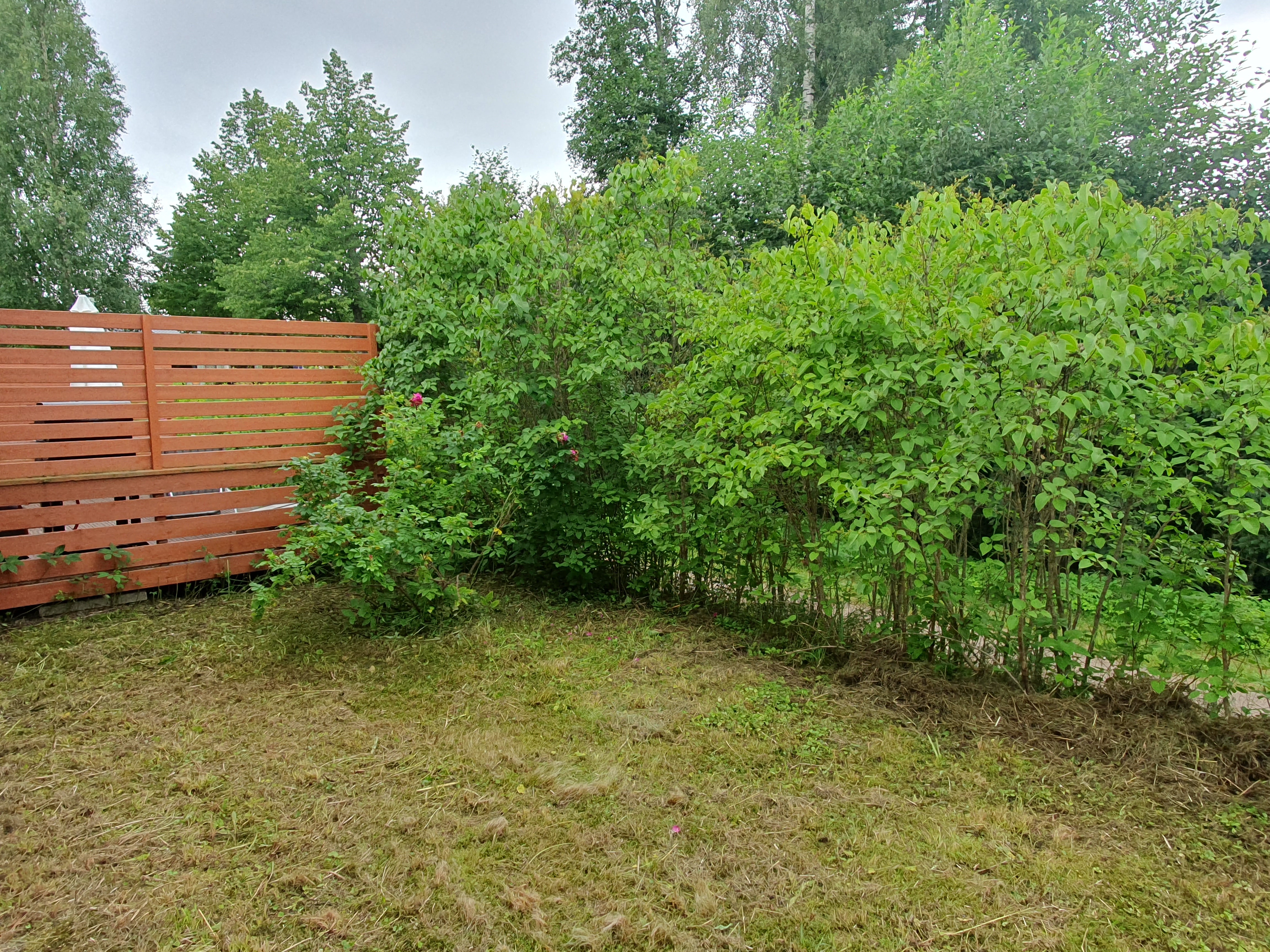 Haimilantie 2, Peltoinlahti, Savitaipale