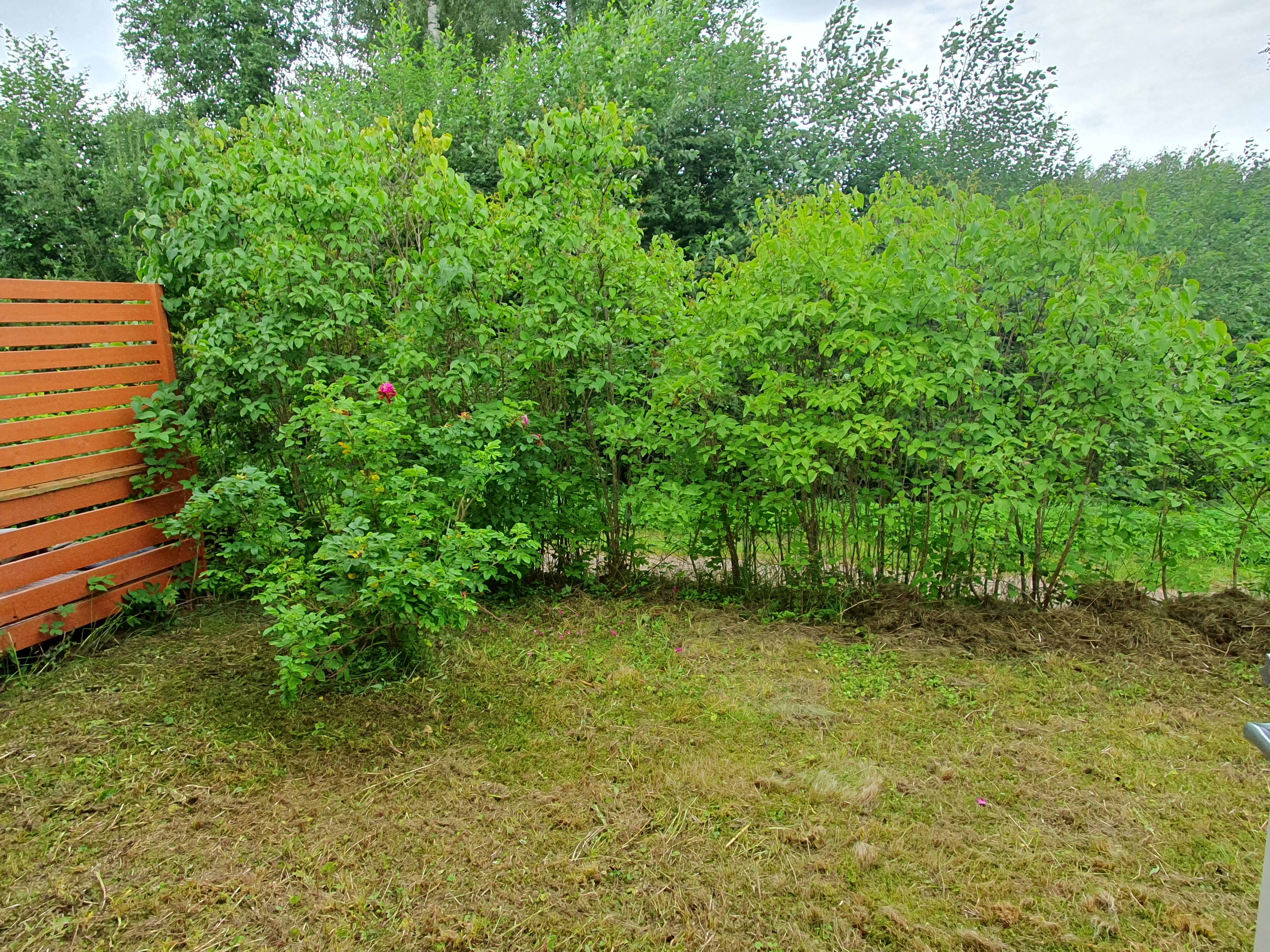 Haimilantie 2, Peltoinlahti, Savitaipale