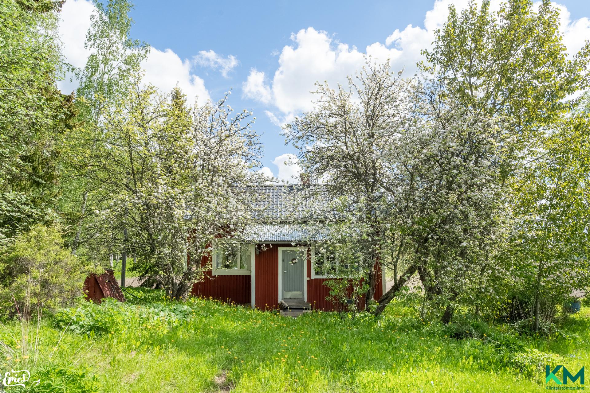 Jumesniementie 517, Jumesniemi, Hämeenkyrö