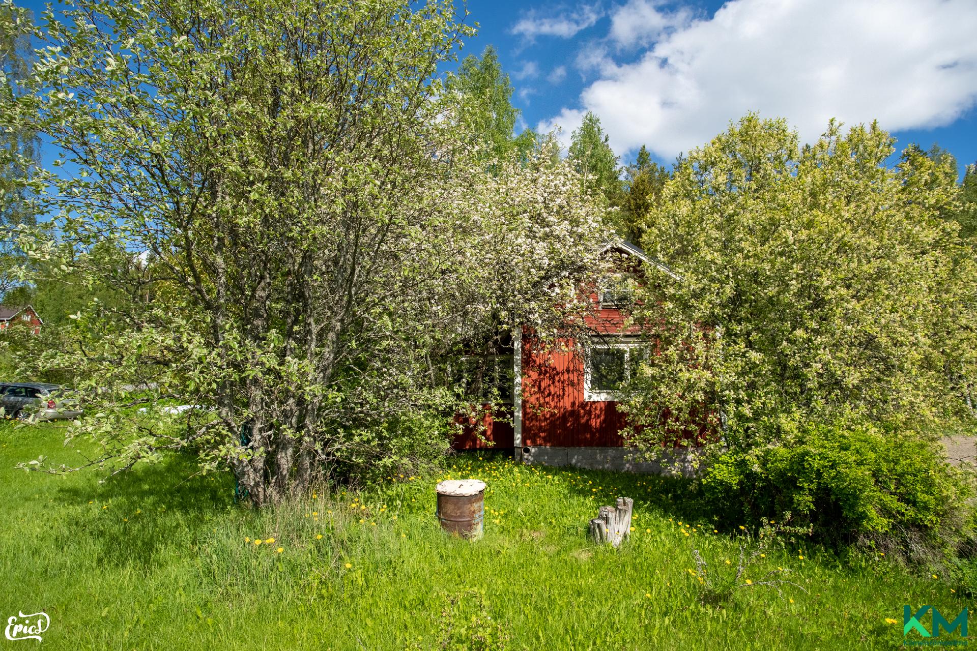 Jumesniementie 517, Jumesniemi, Hämeenkyrö