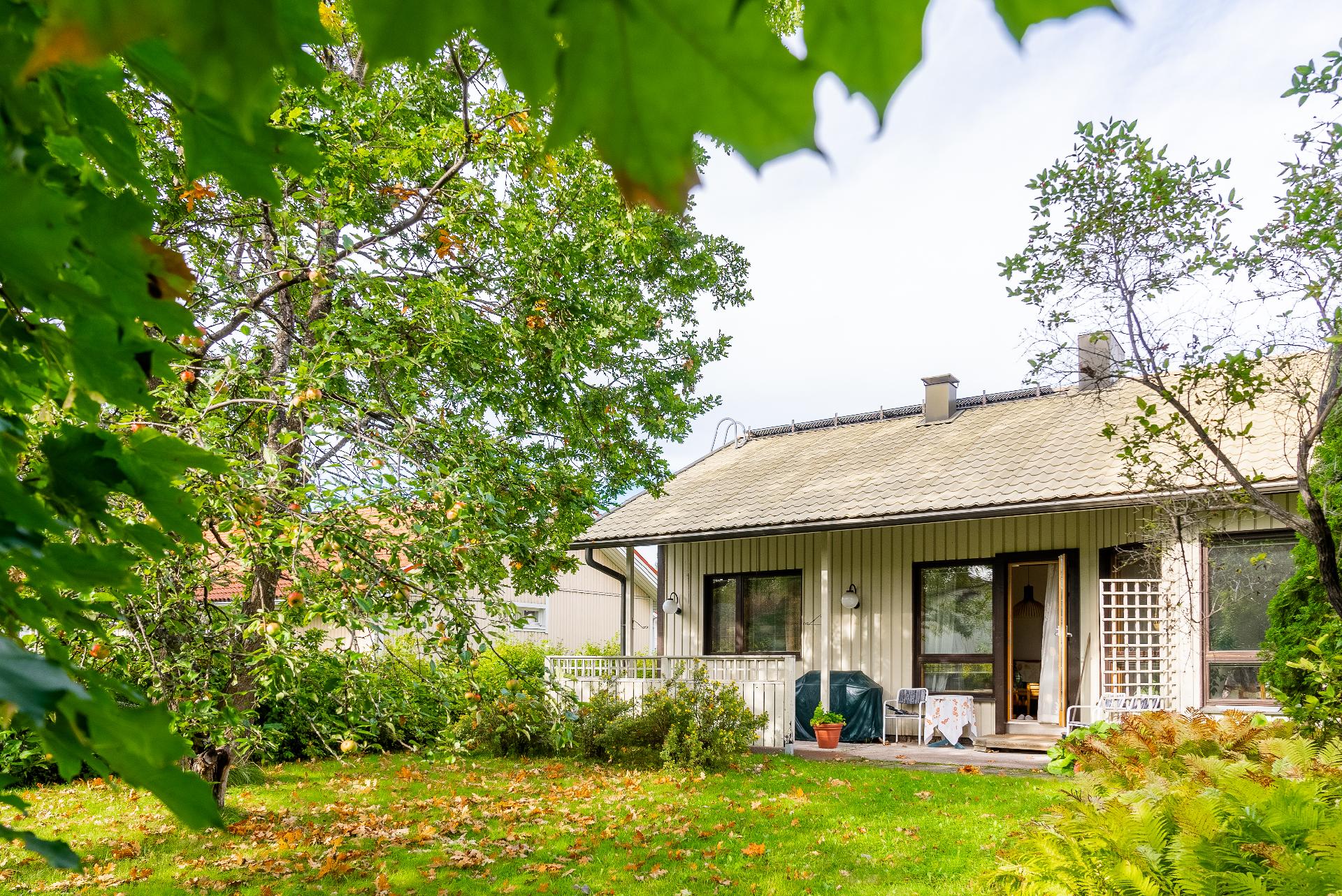 Suojaisa ja viihtyisä pihapiiri