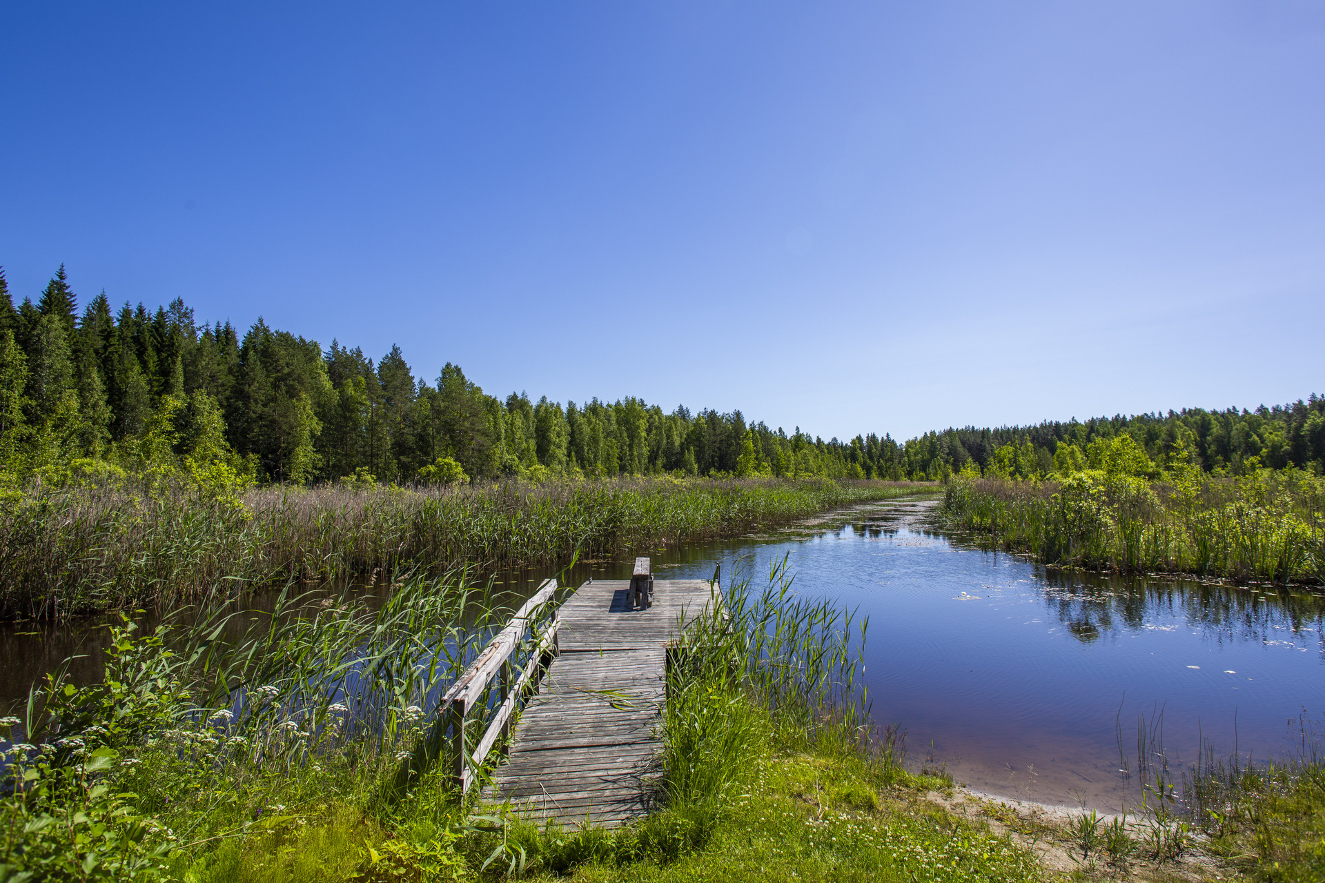 Telkonlahdentie 103, Kangasniemi