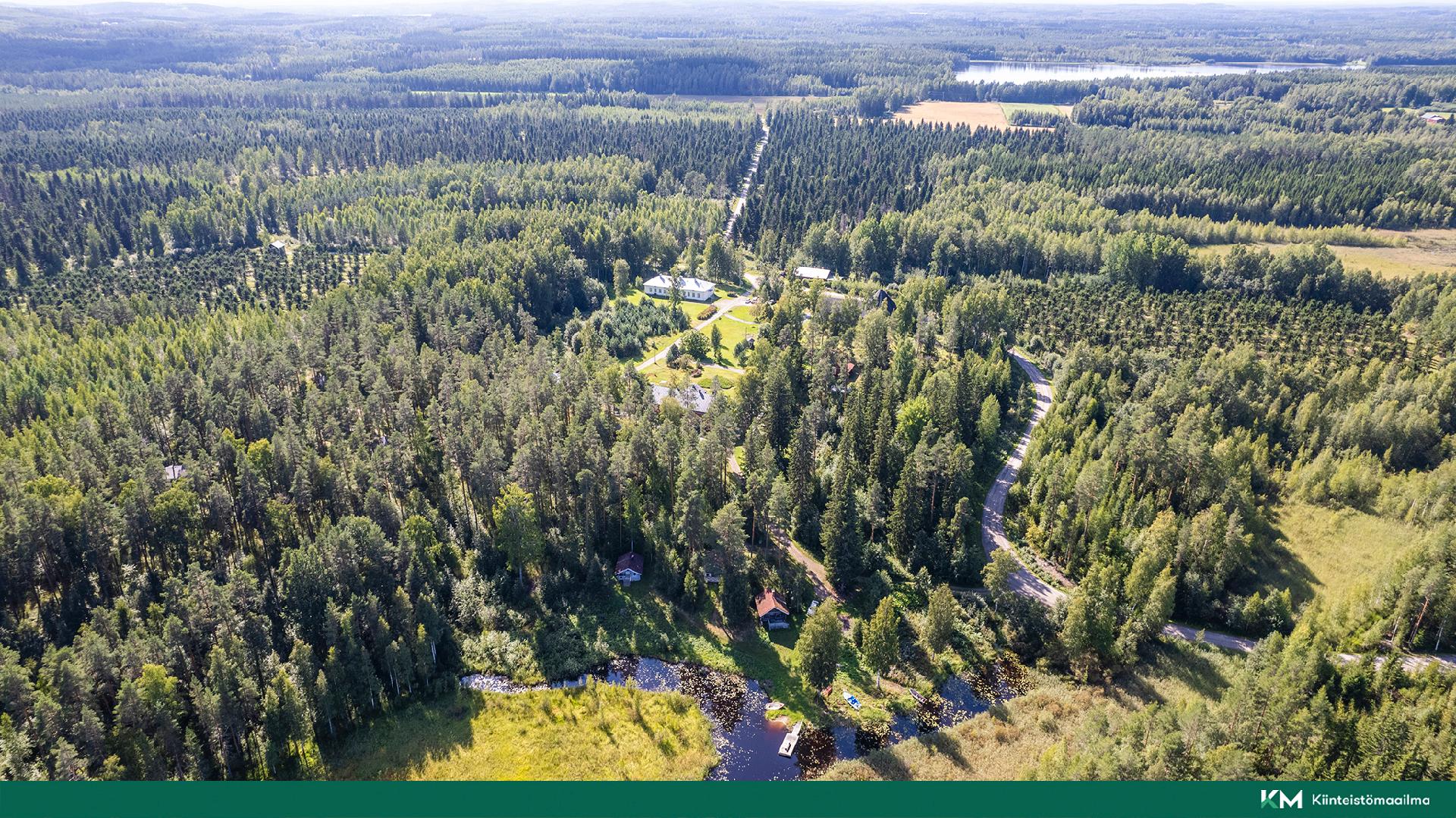 Telkonlahdentie 103, Kangasniemi