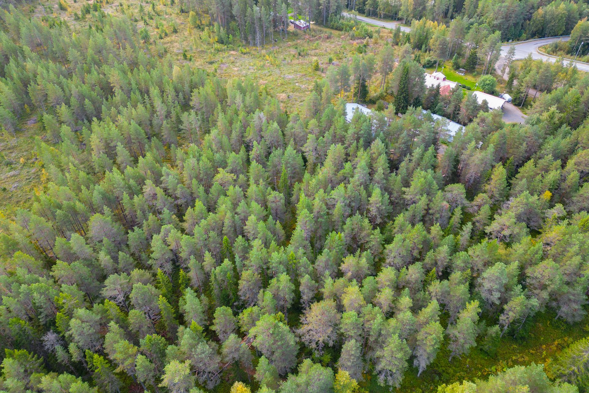 Virkkulantie 277, Raasakka, Ii