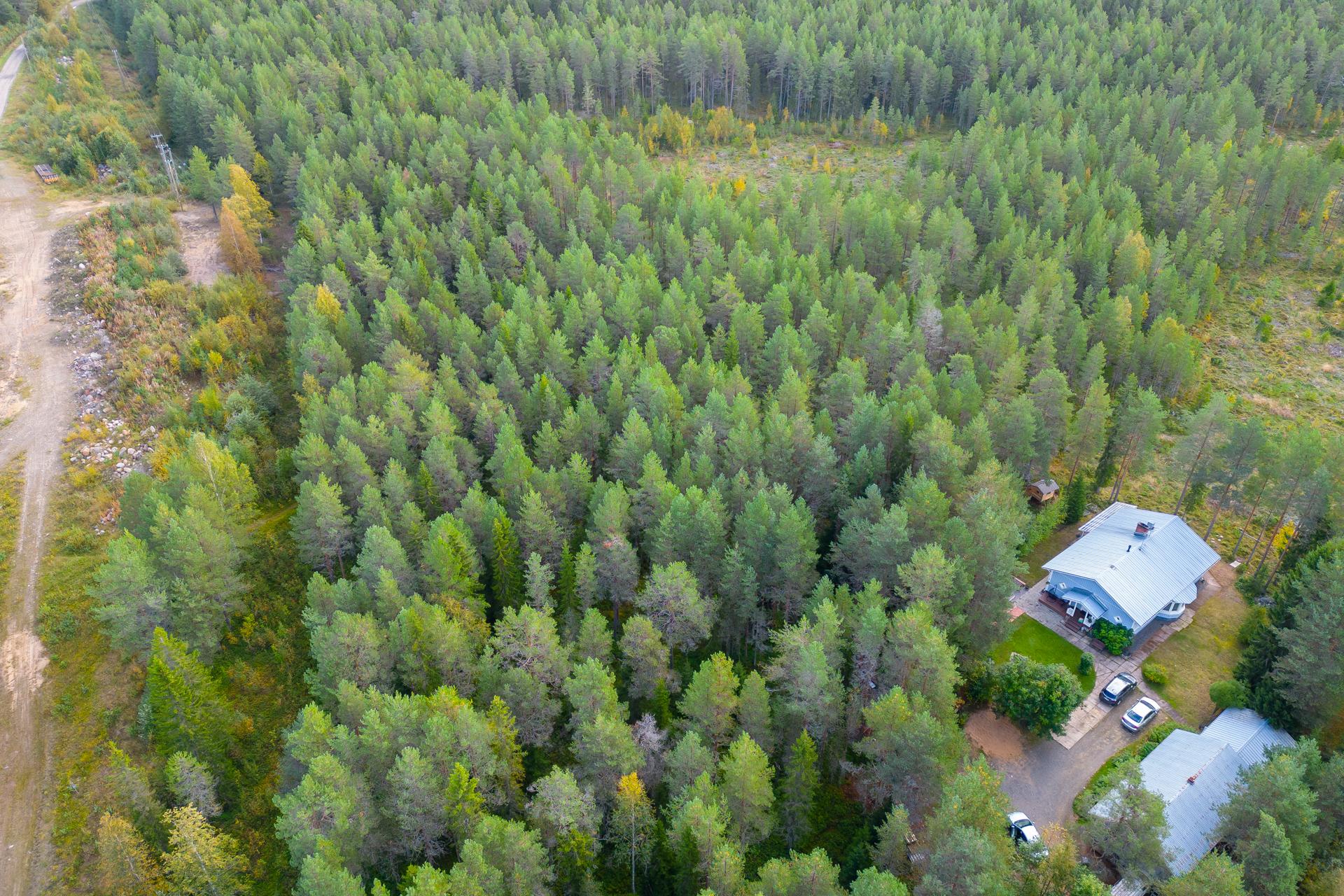 Virkkulantie 277, Raasakka, Ii