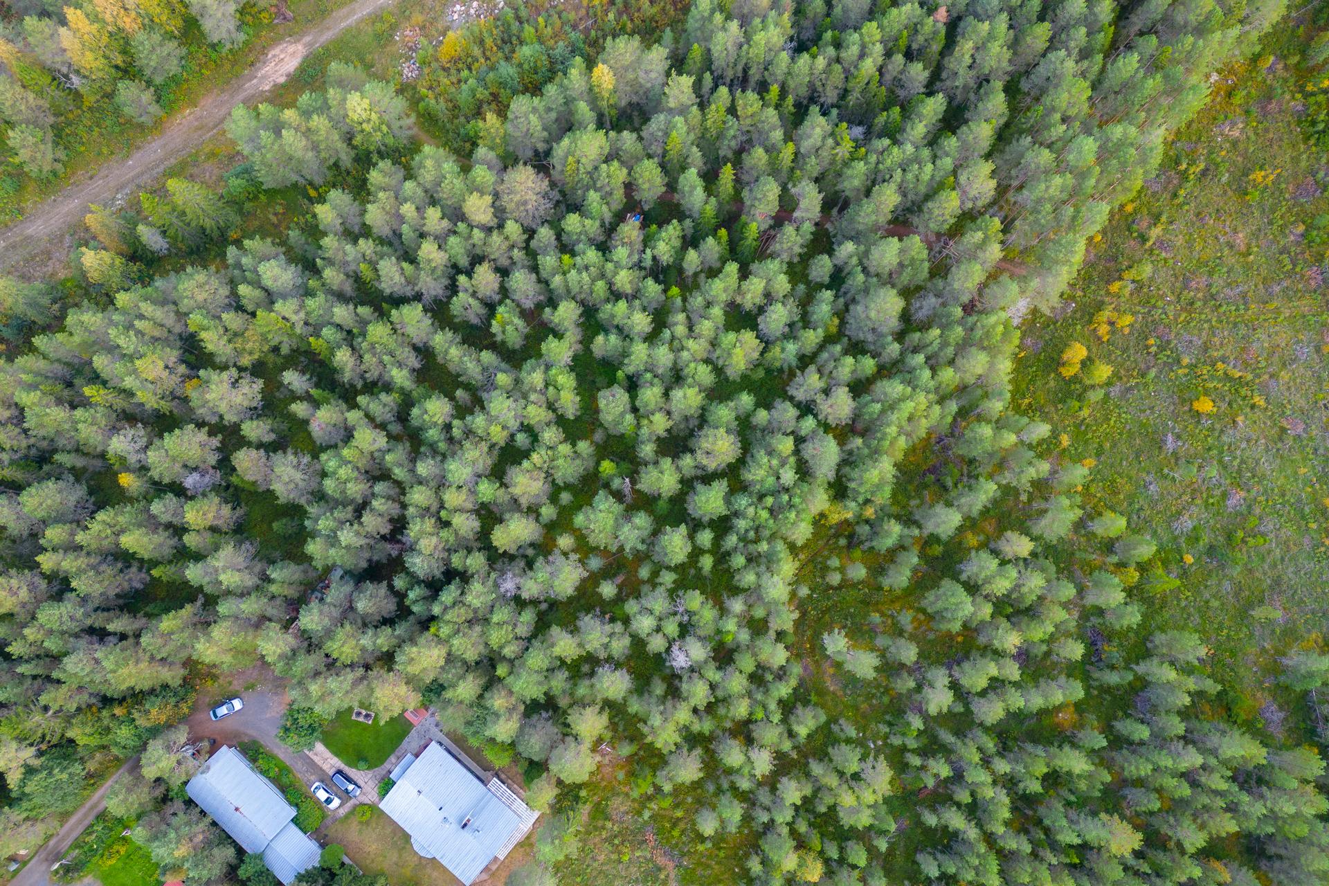 Virkkulantie 277, Raasakka, Ii