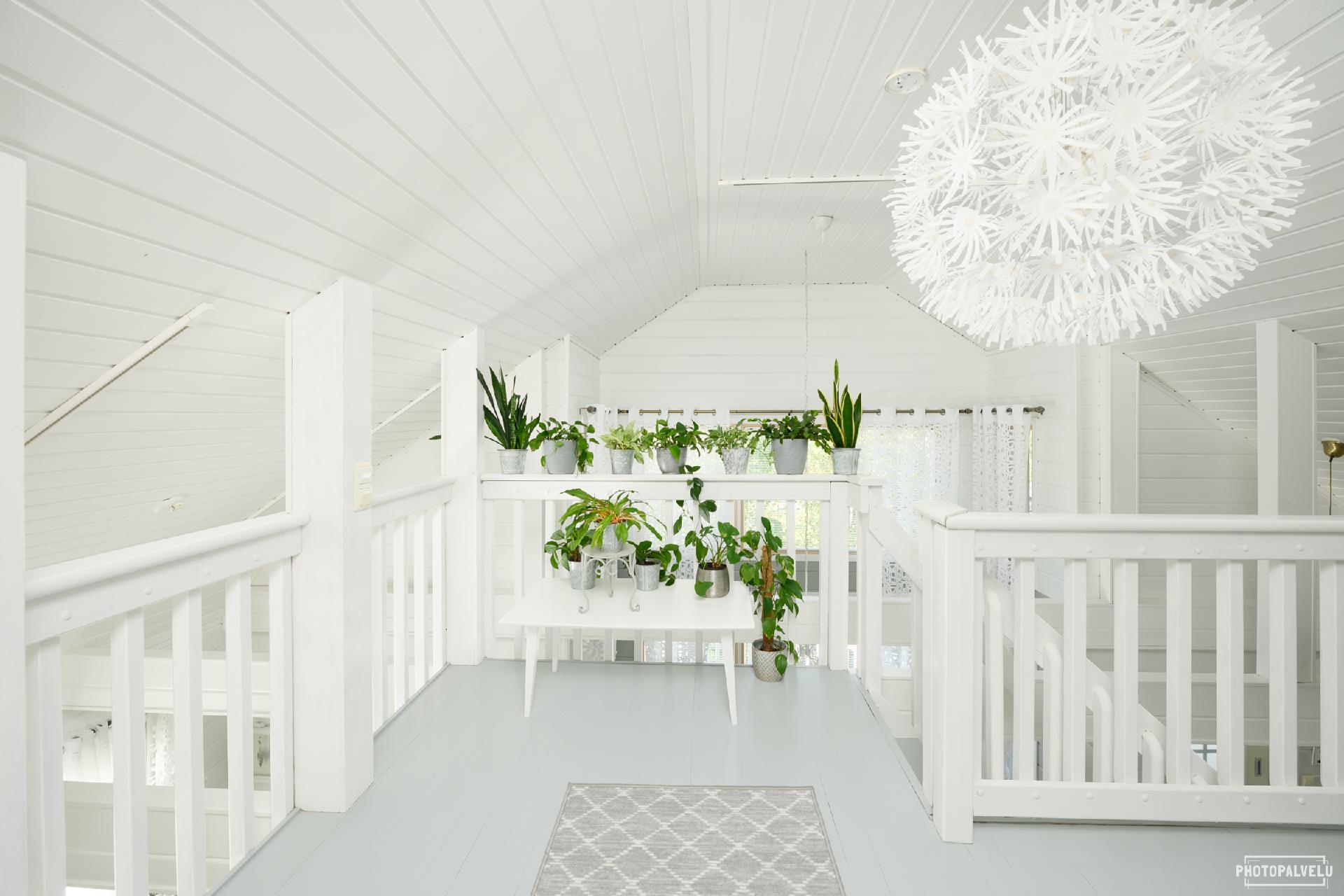 Jäniksenkäpälä 5, Hiekkasärkät, Kalajoki