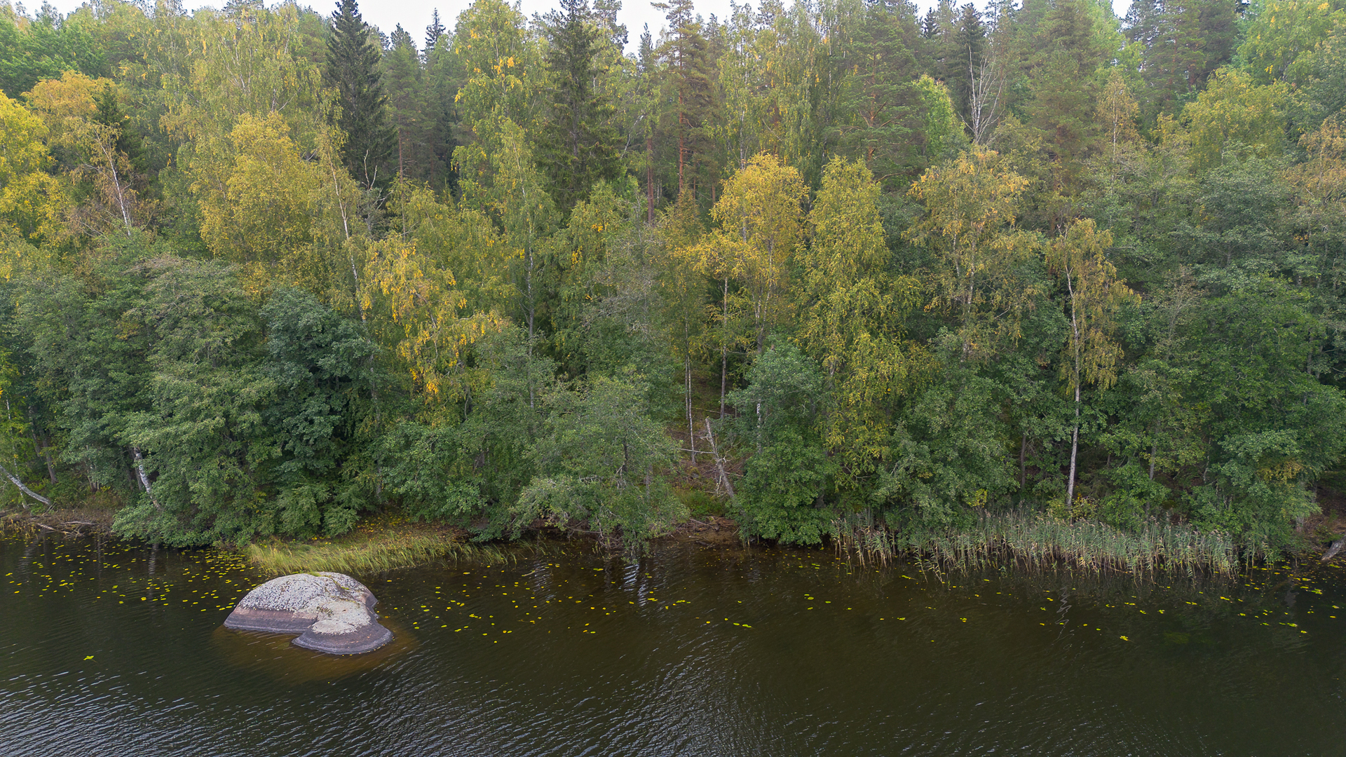 Morttelikuja 74, Kirkkola, Hartola