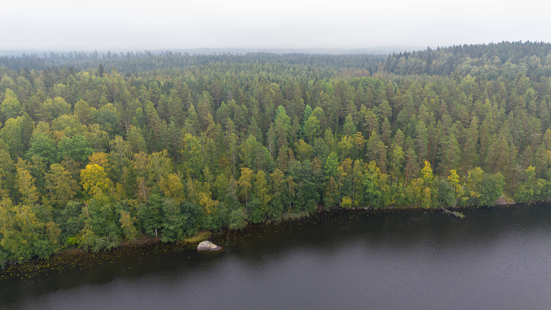 Morttelikuja 74, Kirkkola, Hartola