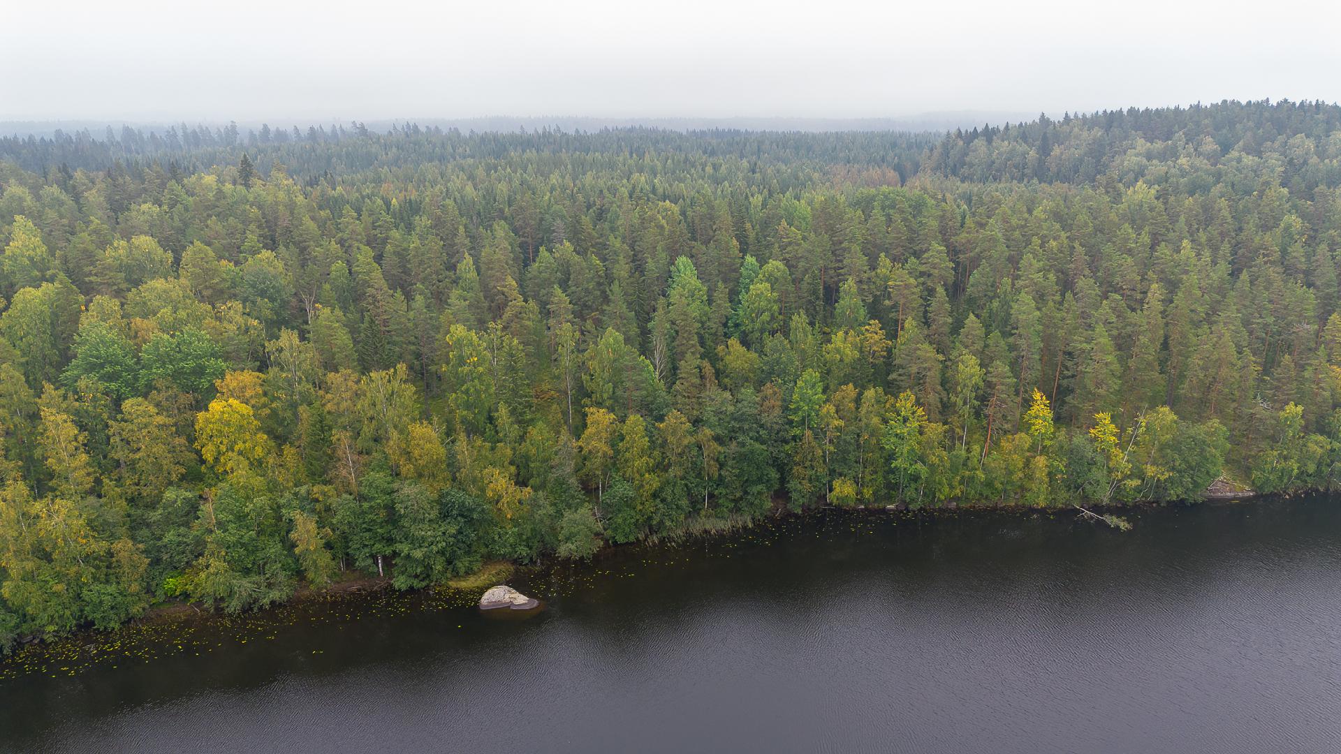 Kauhtueentie 755, Kirkkola, Hartola