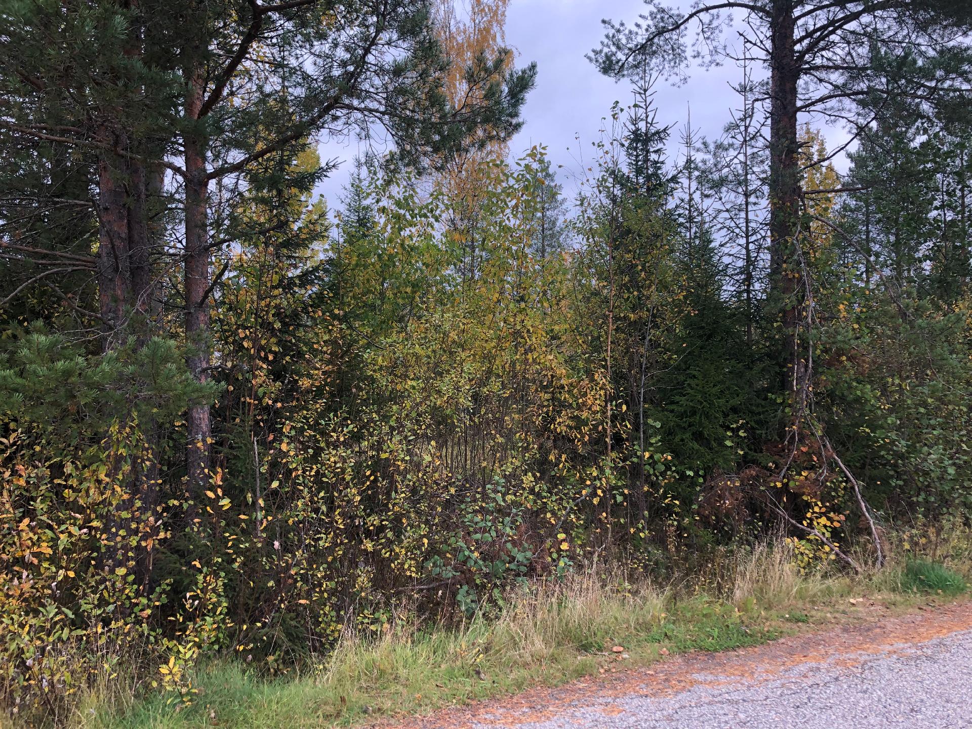 Pärsäntie 26,30, Pärsänsuo, Kajaani