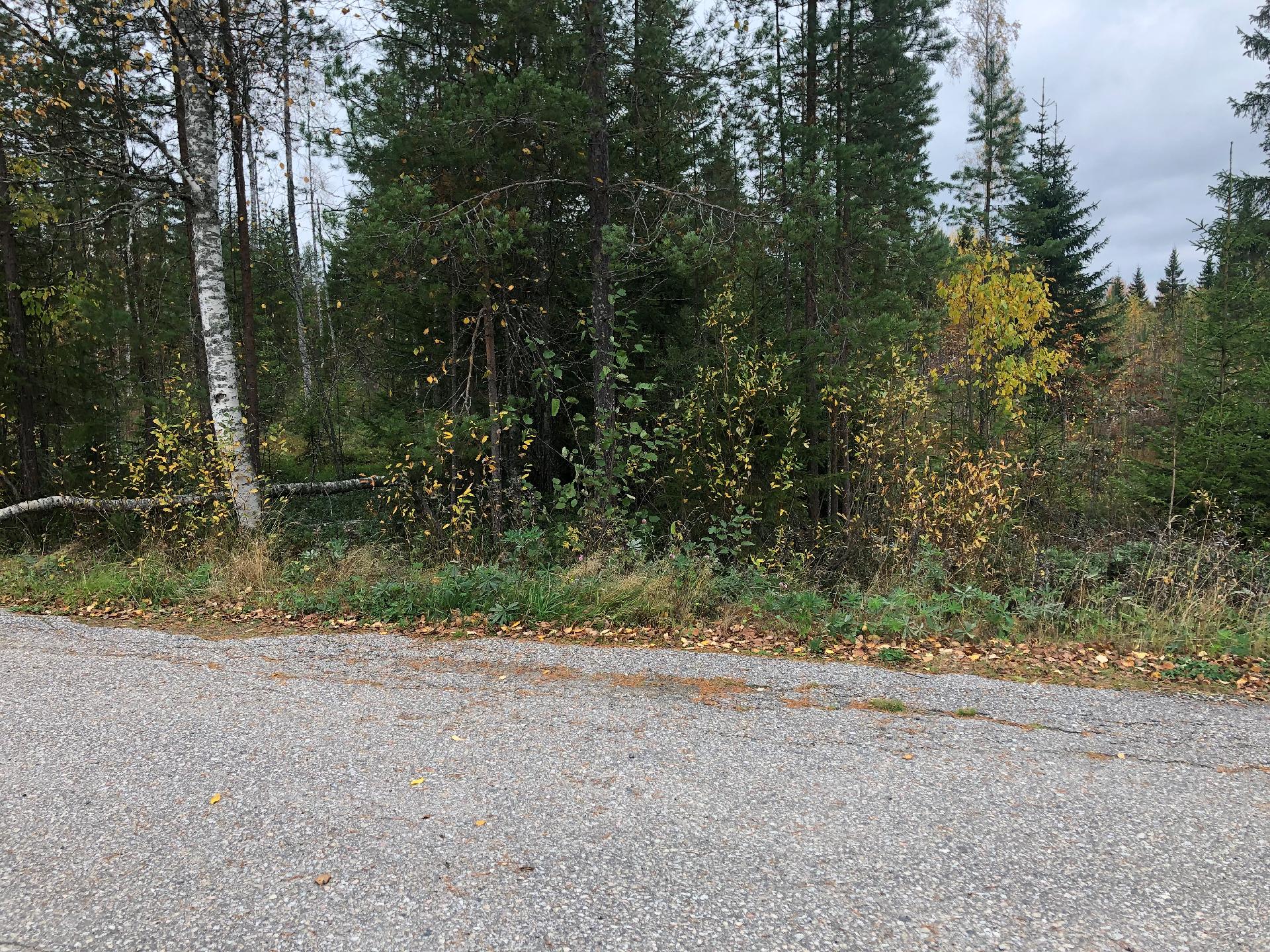 Pärsäntie 26,30, Pärsänsuo, Kajaani