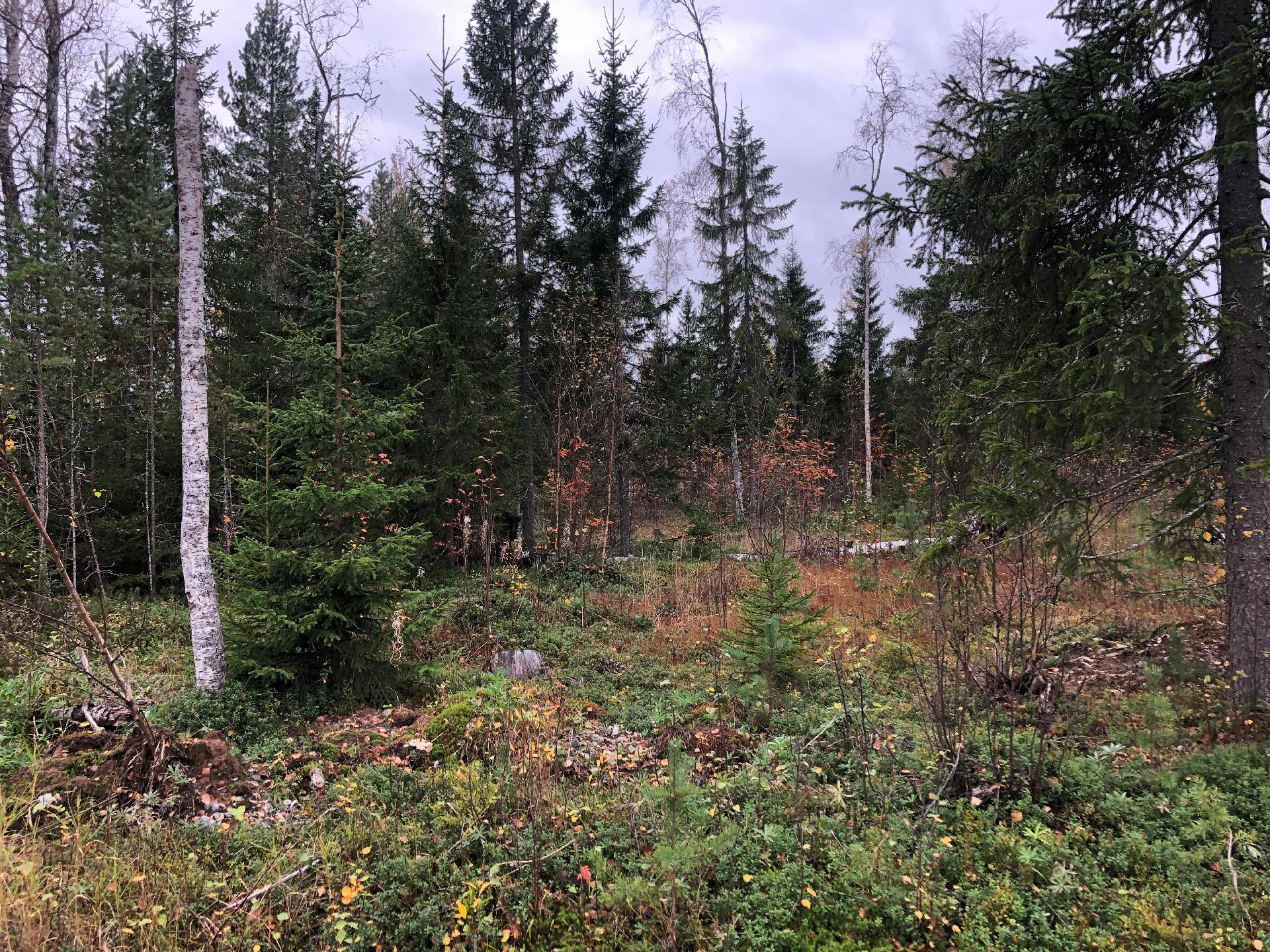 Pärsäntie 26,30, Pärsänsuo, Kajaani