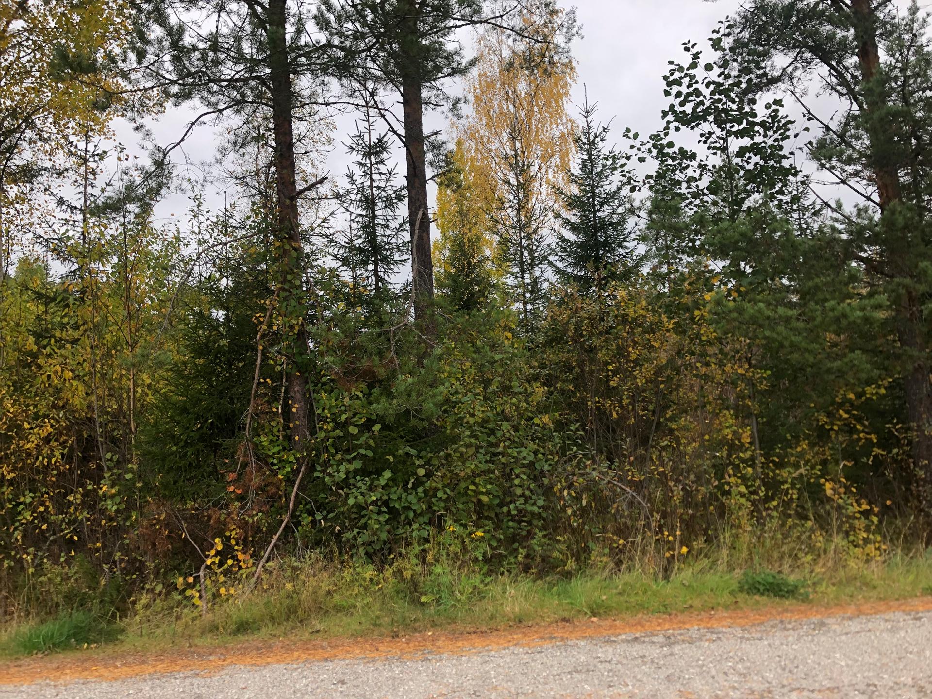 Pärsäntie 26,30, Pärsänsuo, Kajaani