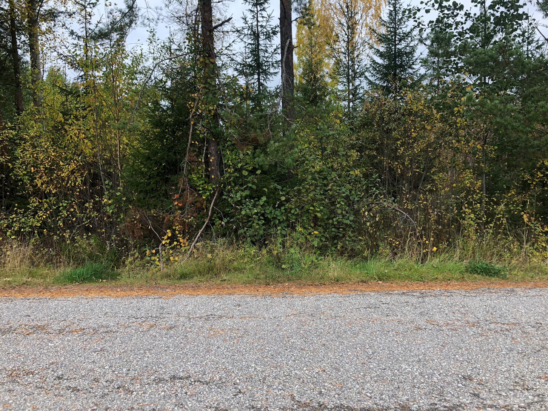 Pärsäntie 26,30, Pärsänsuo, Kajaani