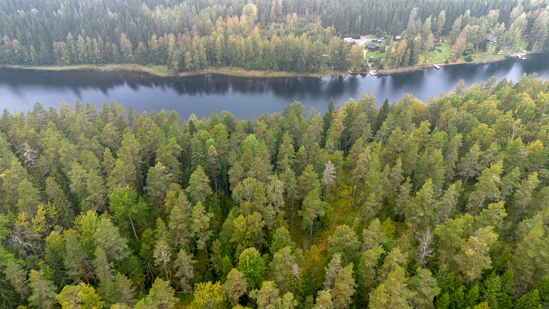 Morttelikuja 72, Kirkkola, Hartola