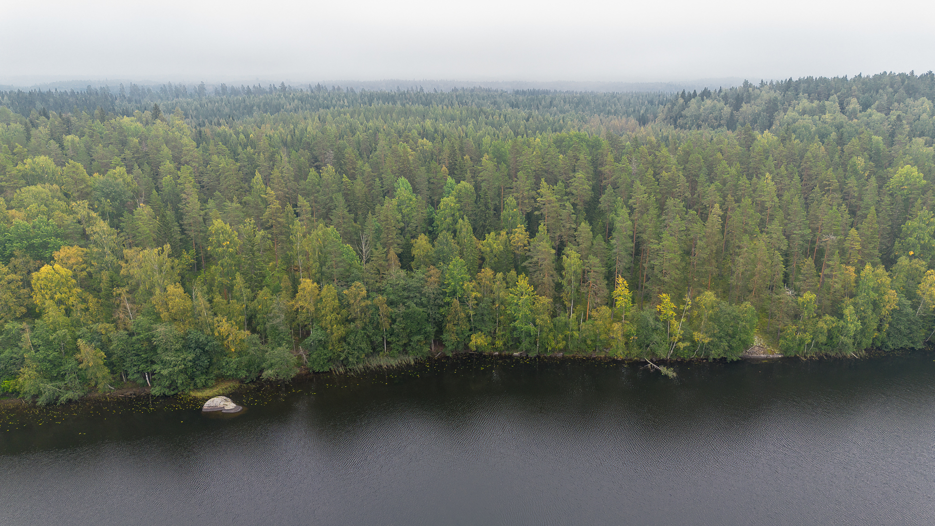 Morttelikuja 72, Kirkkola, Hartola