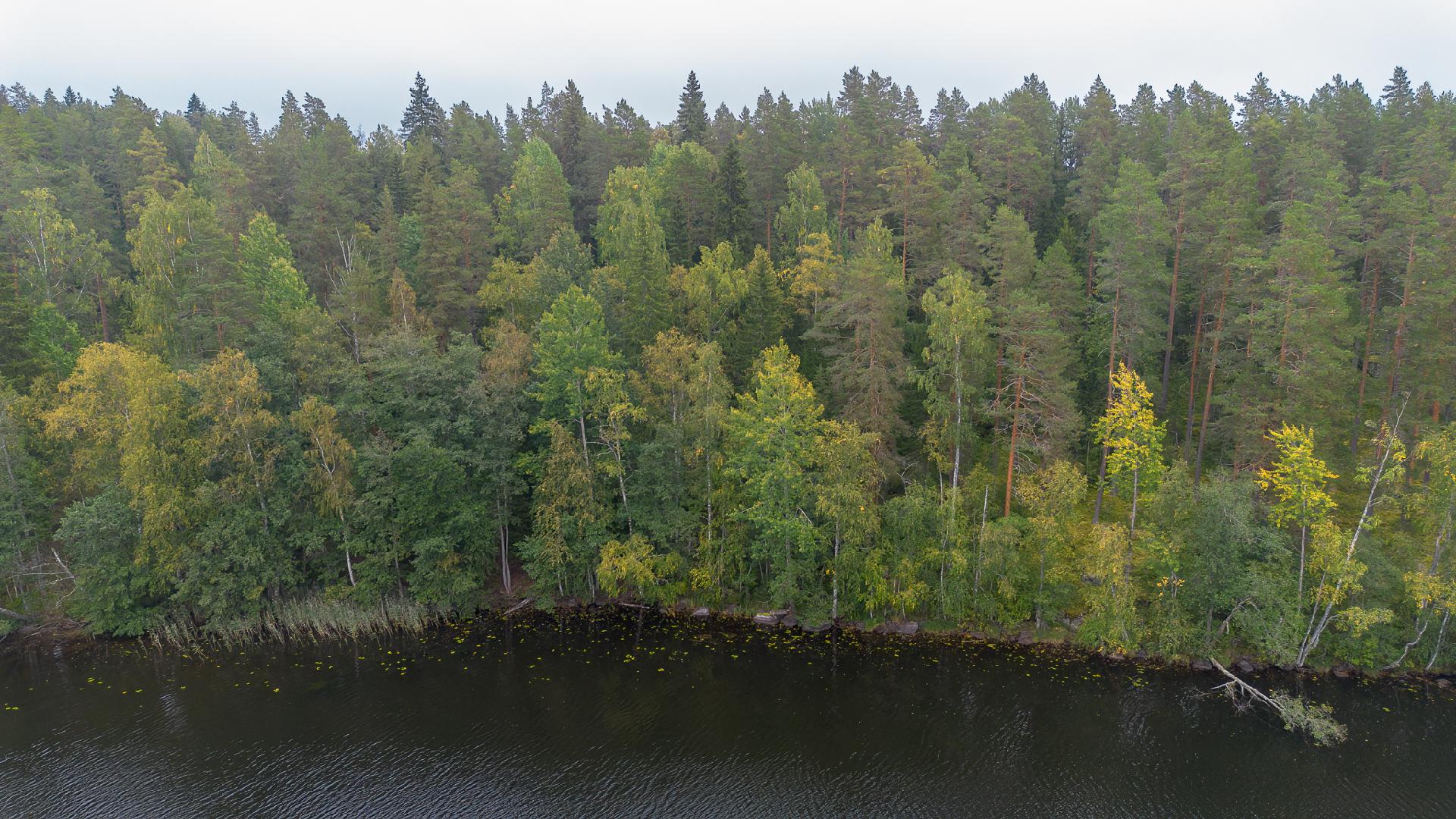 Kauhtueentie 755, Kirkkola, Hartola