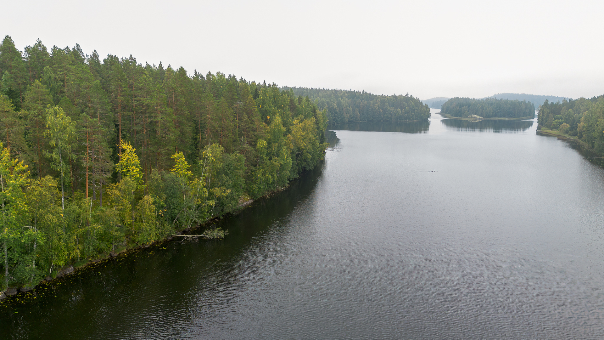 Morttelikuja 72, Kirkkola, Hartola