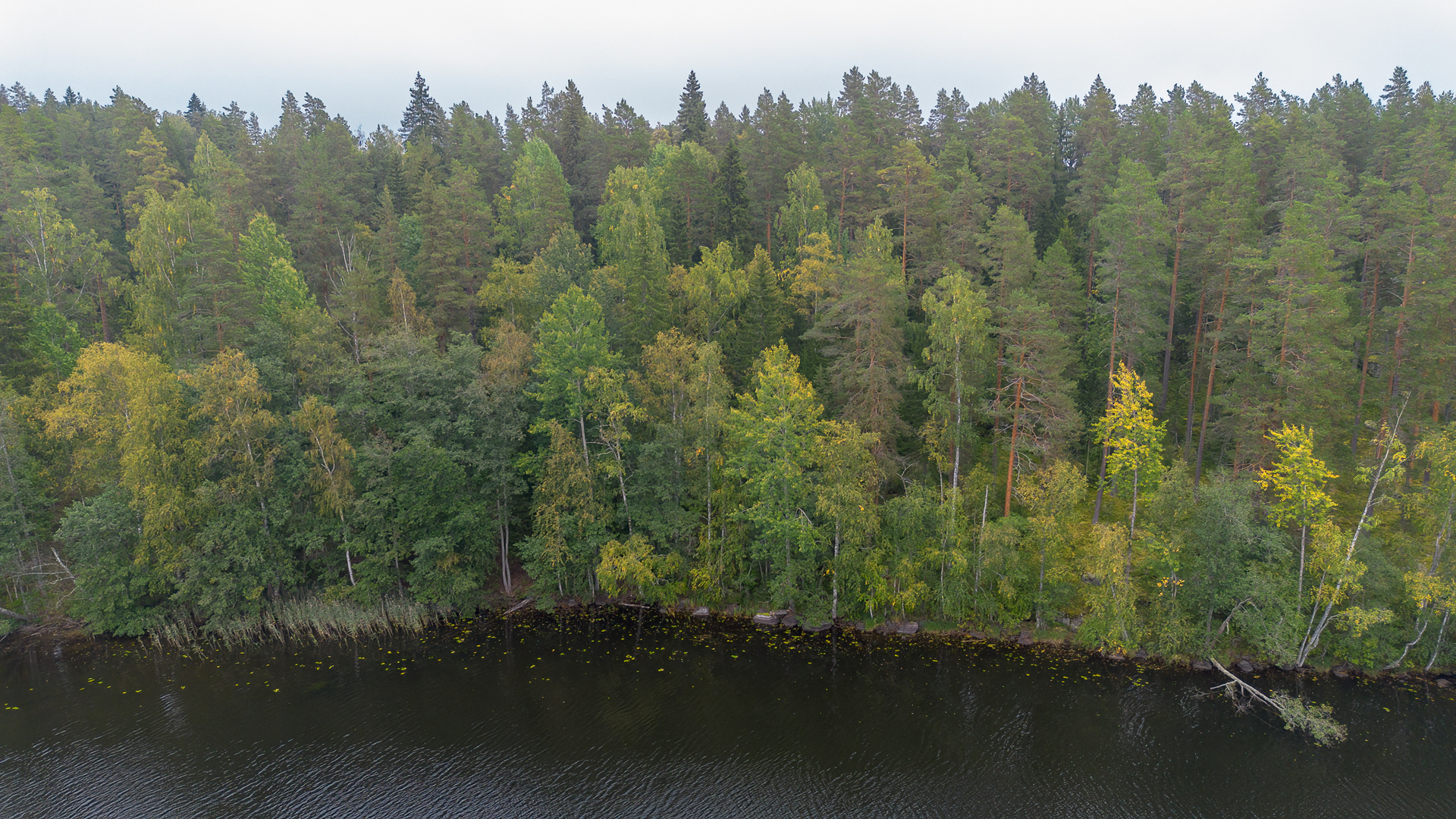 Morttelikuja 72, Kirkkola, Hartola