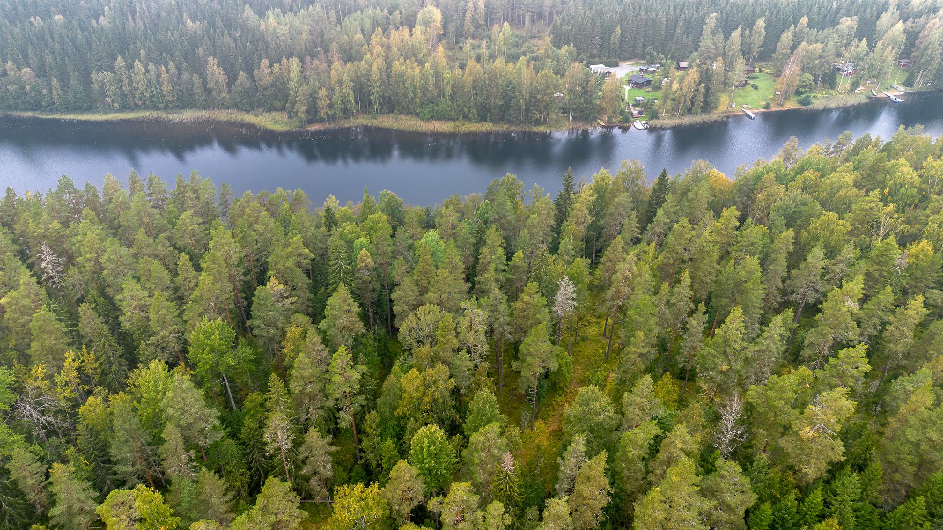 Kauhtueentie 755, Kirkkola, Hartola