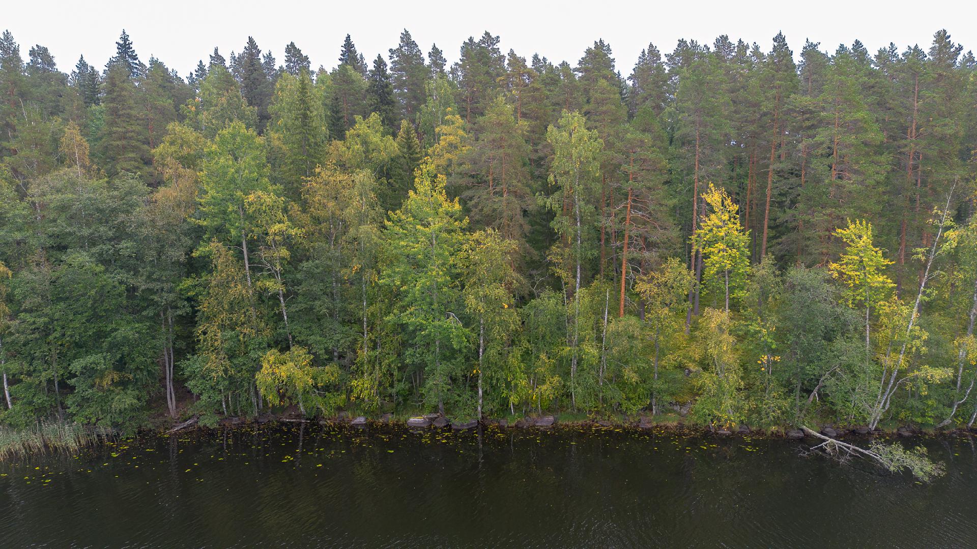 Kauhtueentie 755, Kirkkola, Hartola