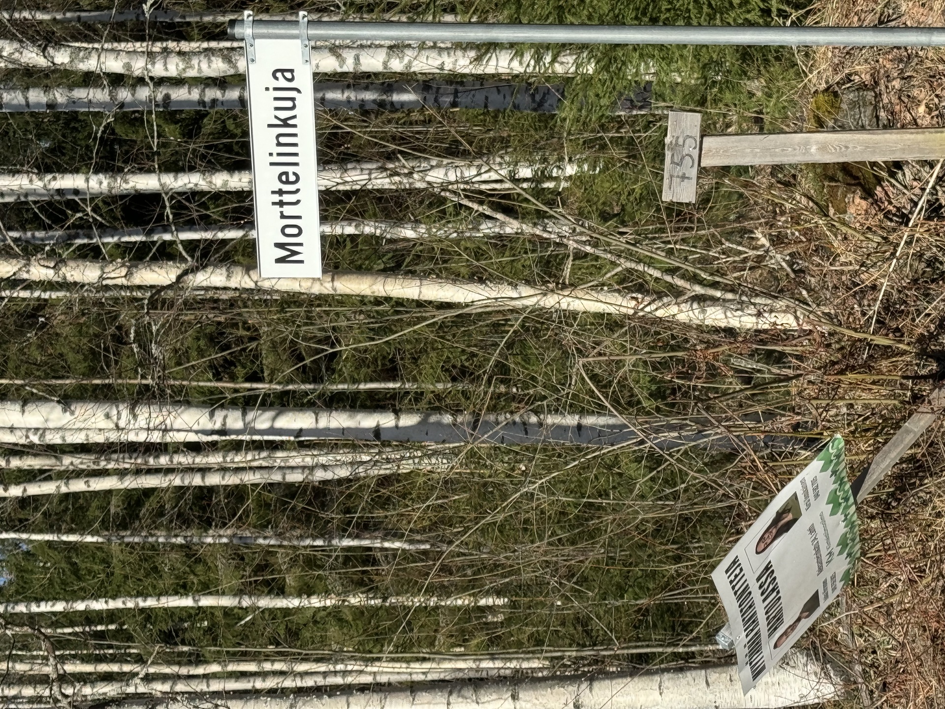 Morttelikuja 84, Kirkkola, Hartola