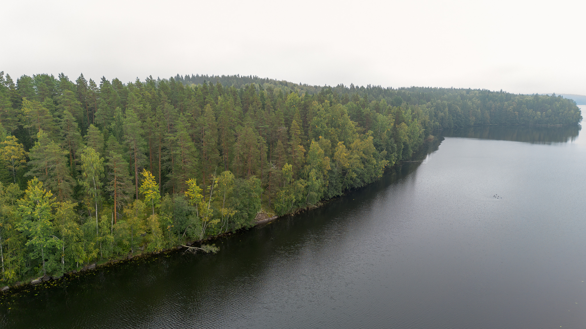 Morttelikuja 84, Kirkkola, Hartola