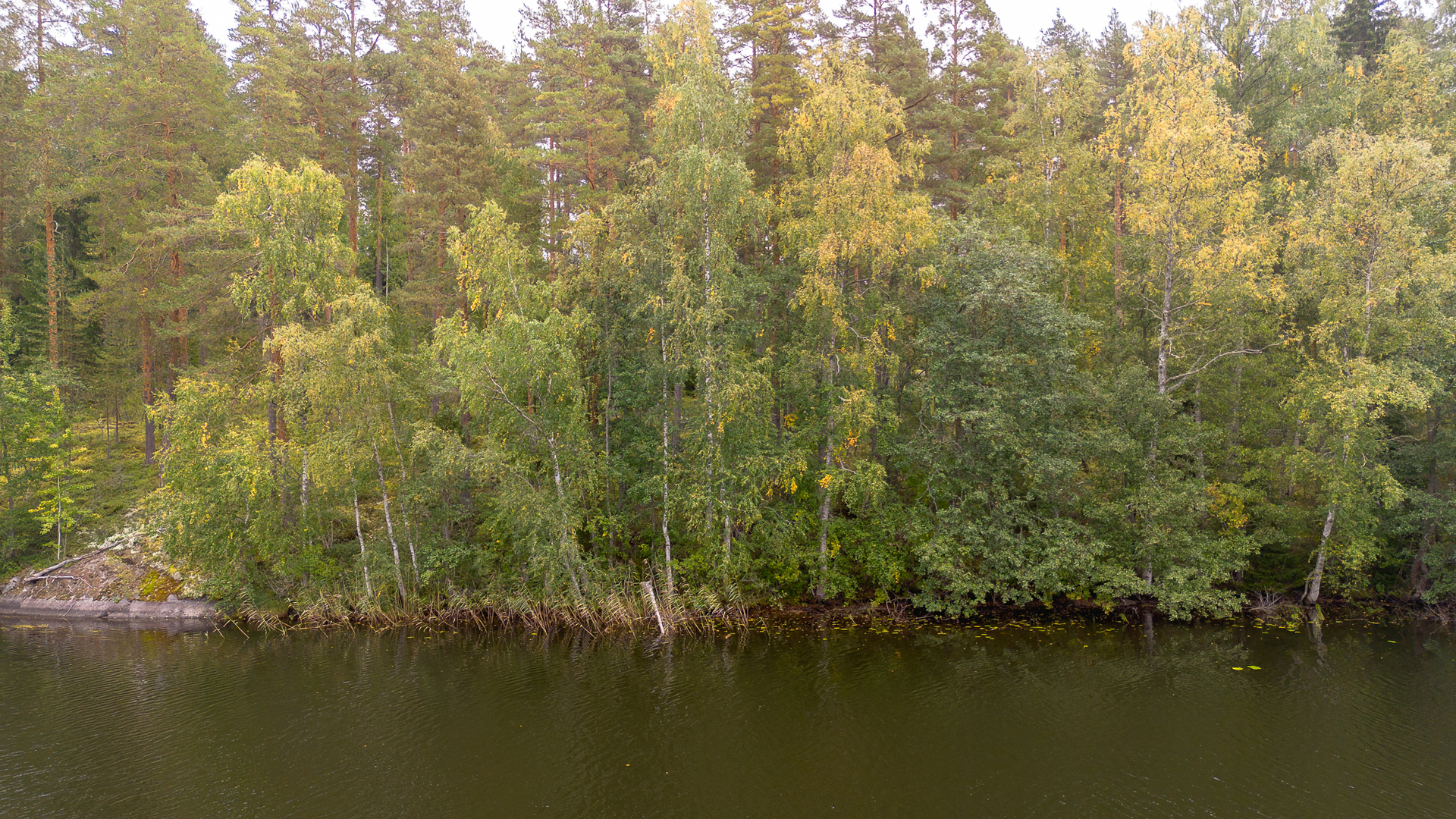 Morttelikuja 84, Kirkkola, Hartola