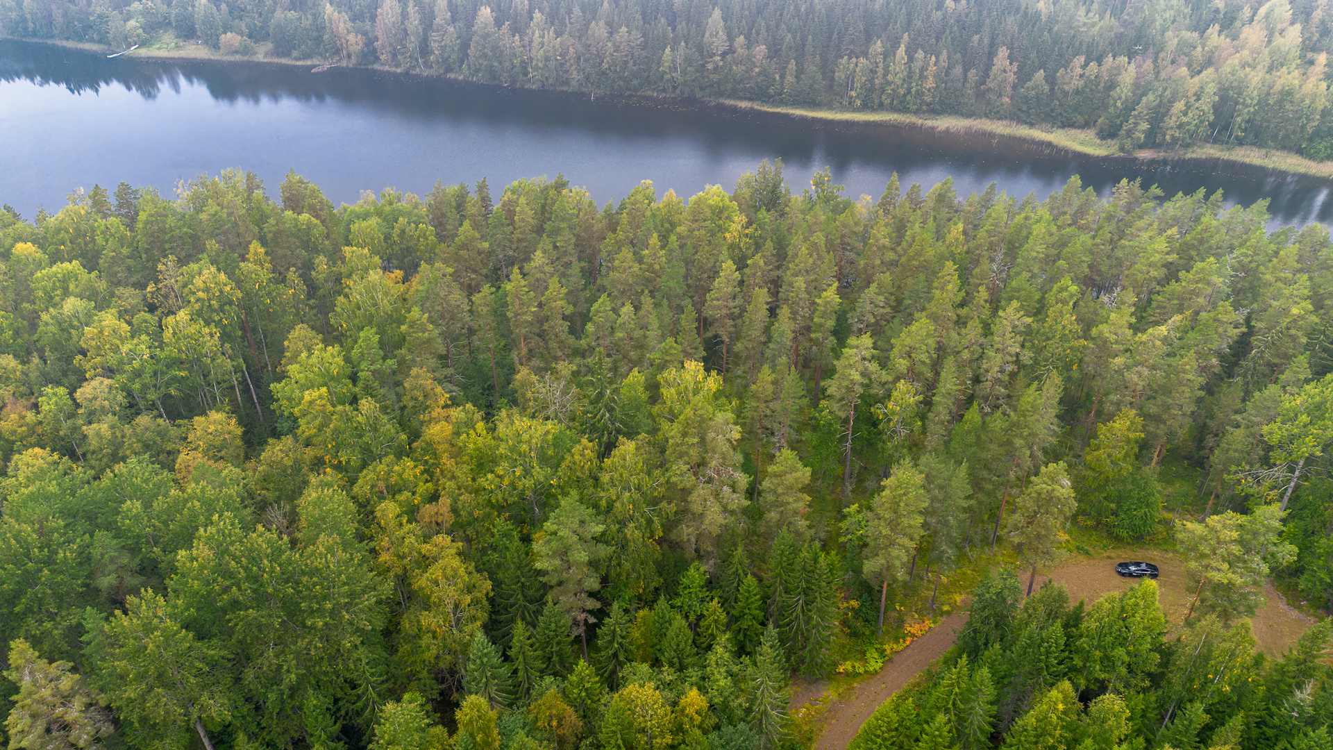 Morttelikuja 84, Kirkkola, Hartola