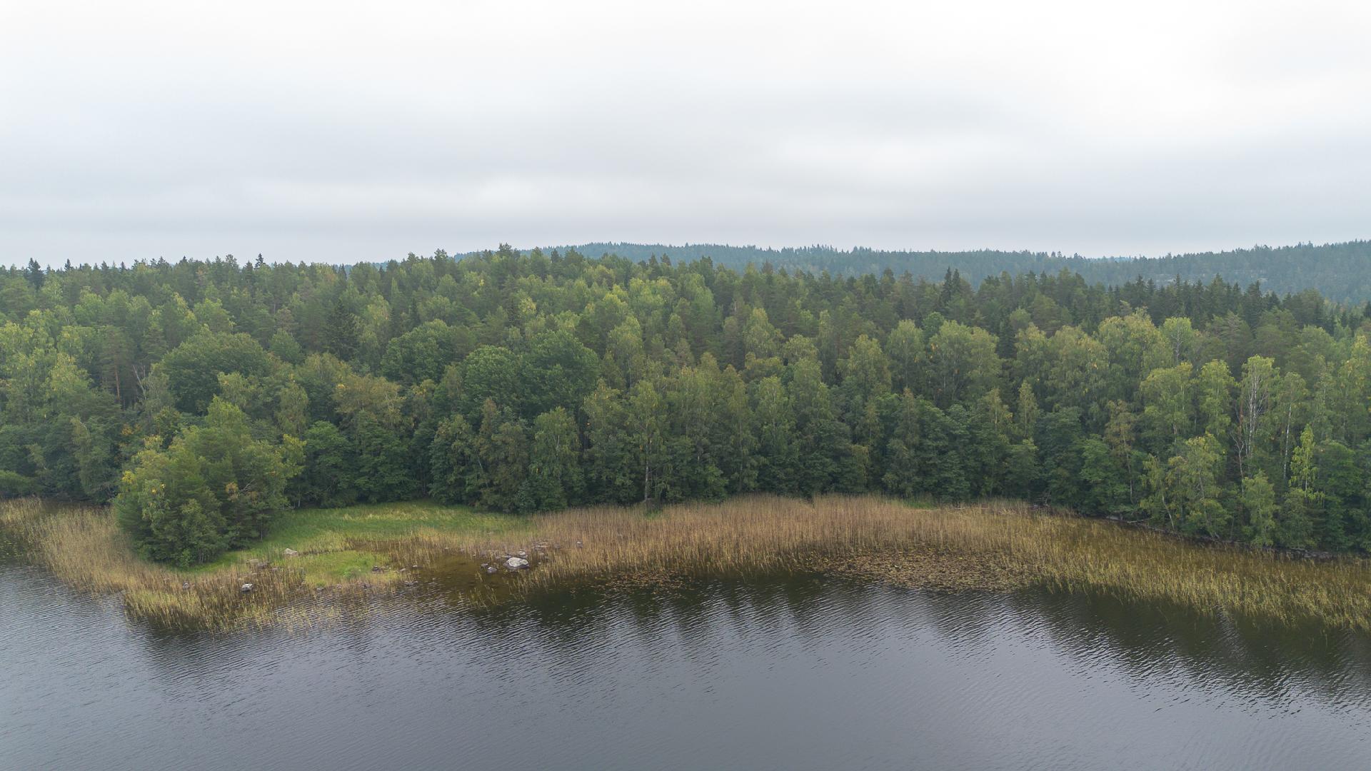 Tahvastensalo tontti, Kirkkola, Hartola