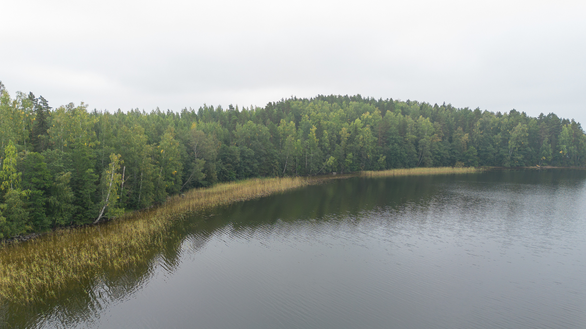 Tahvastensalo tontti, Kirkkola, Hartola