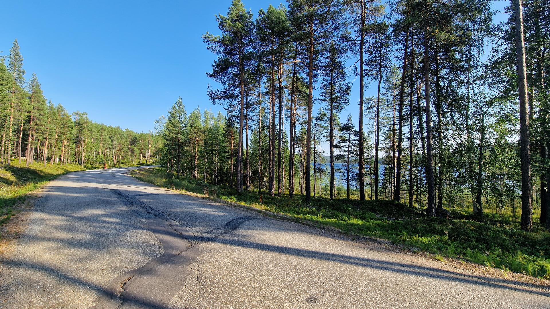 Kesäkuva Tolosesta Ivalon suuntaan, tilan toinen pieni palsta Alajärven rannassa.