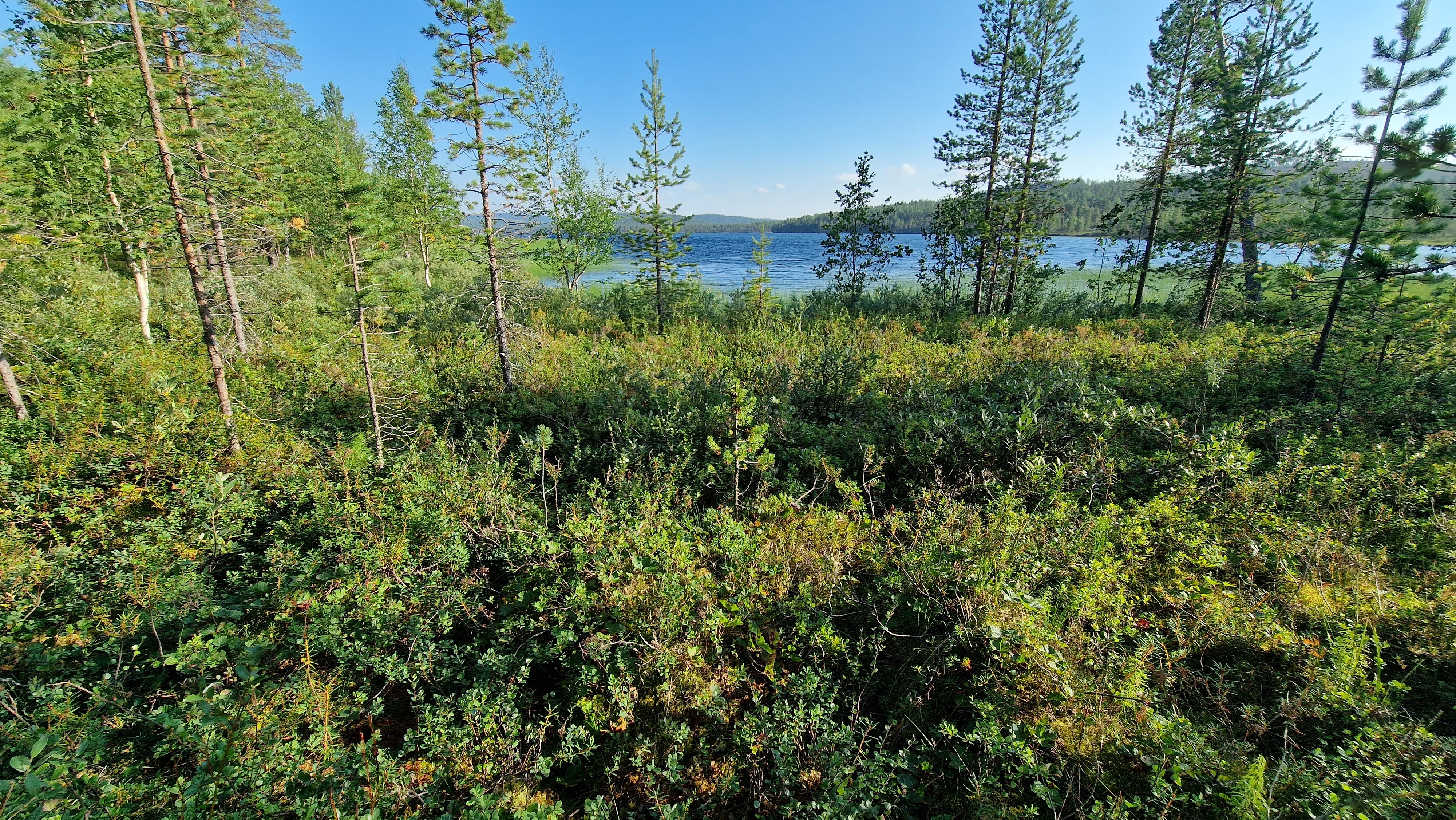 Kesäkuva rannasta