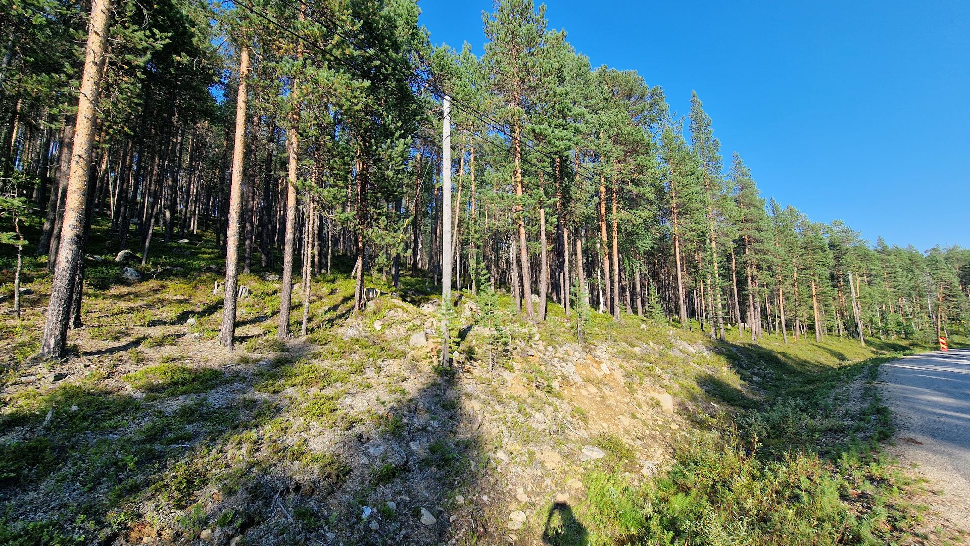 Tolosentie 310, Ivalo, Inari