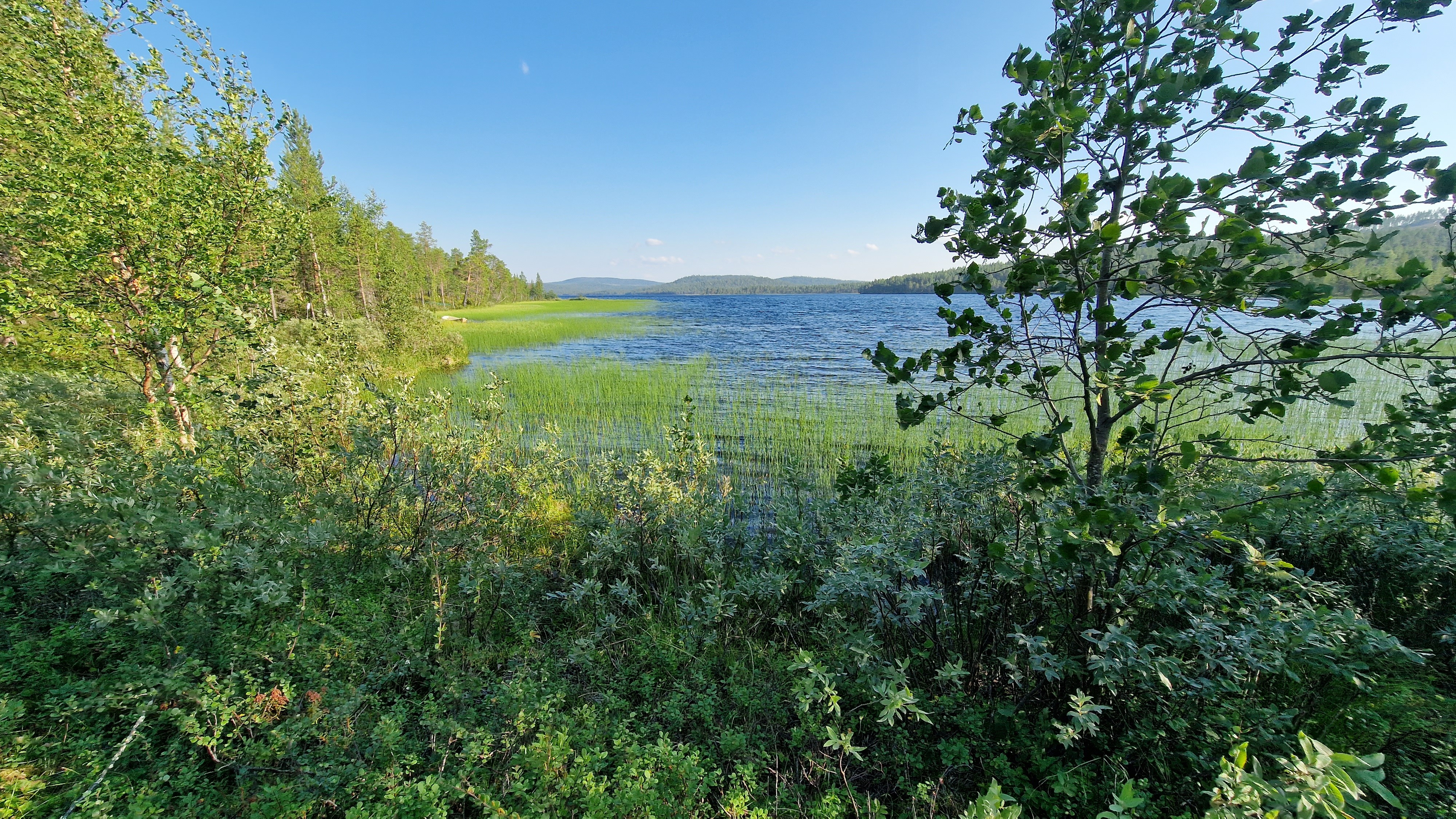 Kesäkuva rannasta