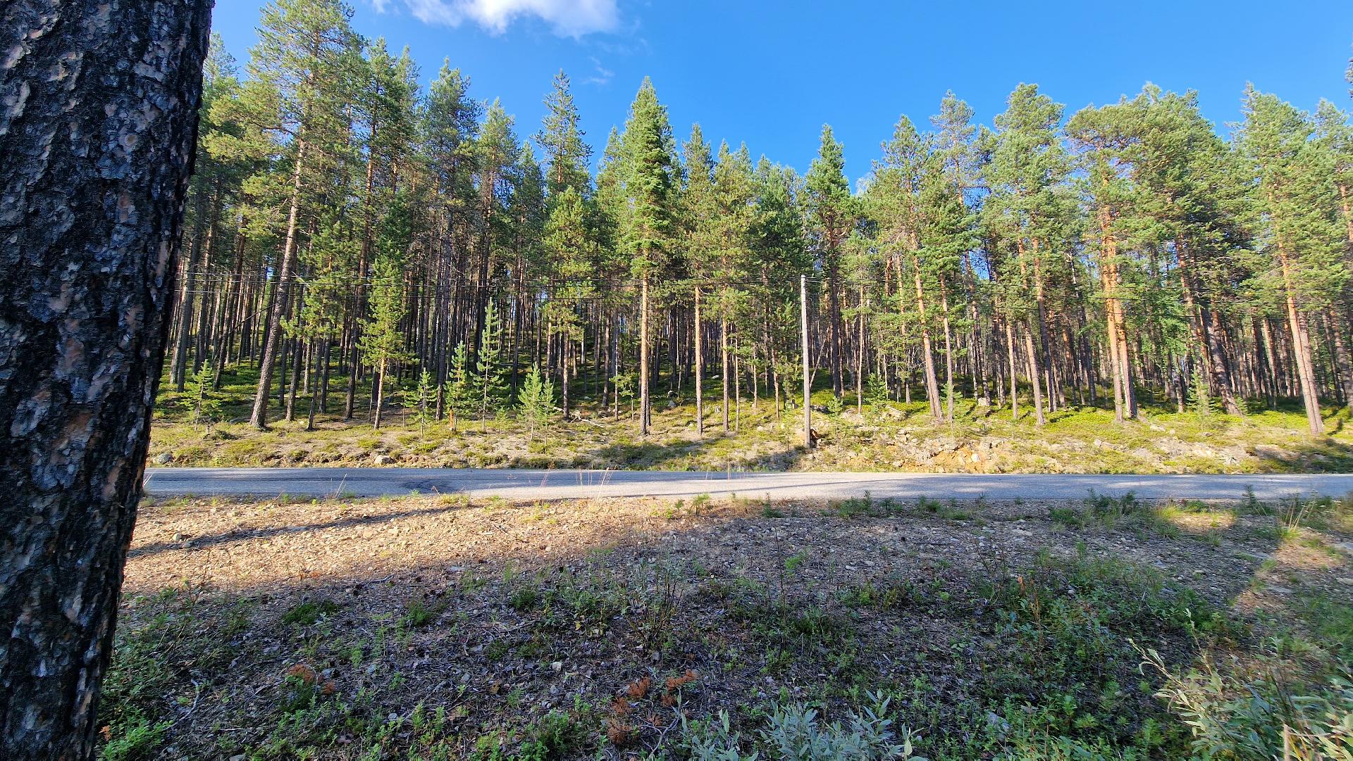 Kesäkuva Tolosentien yli kohti rinnettä