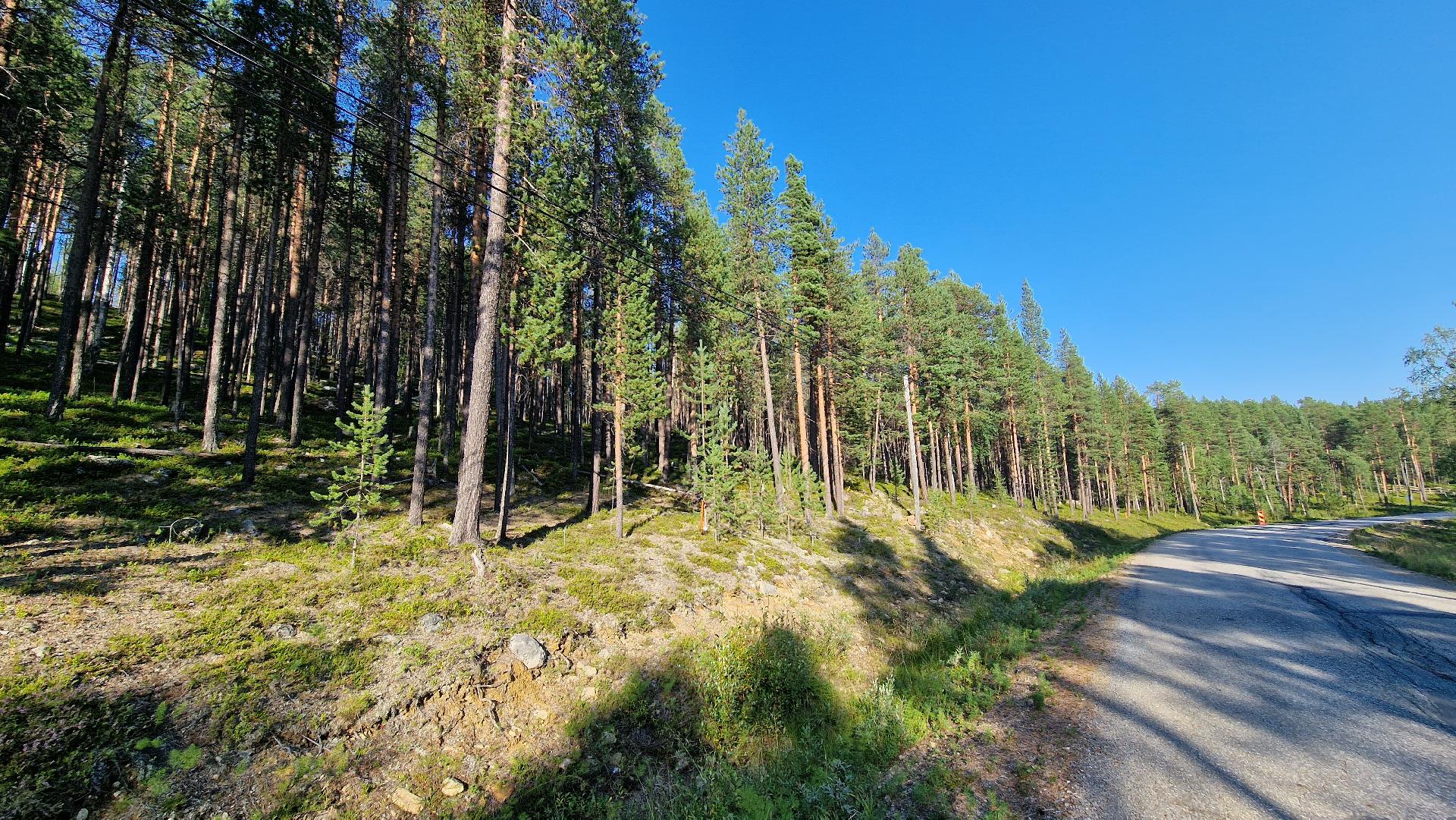 Kesäkuva Tolosesta Ivalon suuntaan, rinne nousee kohti lentokenttää.