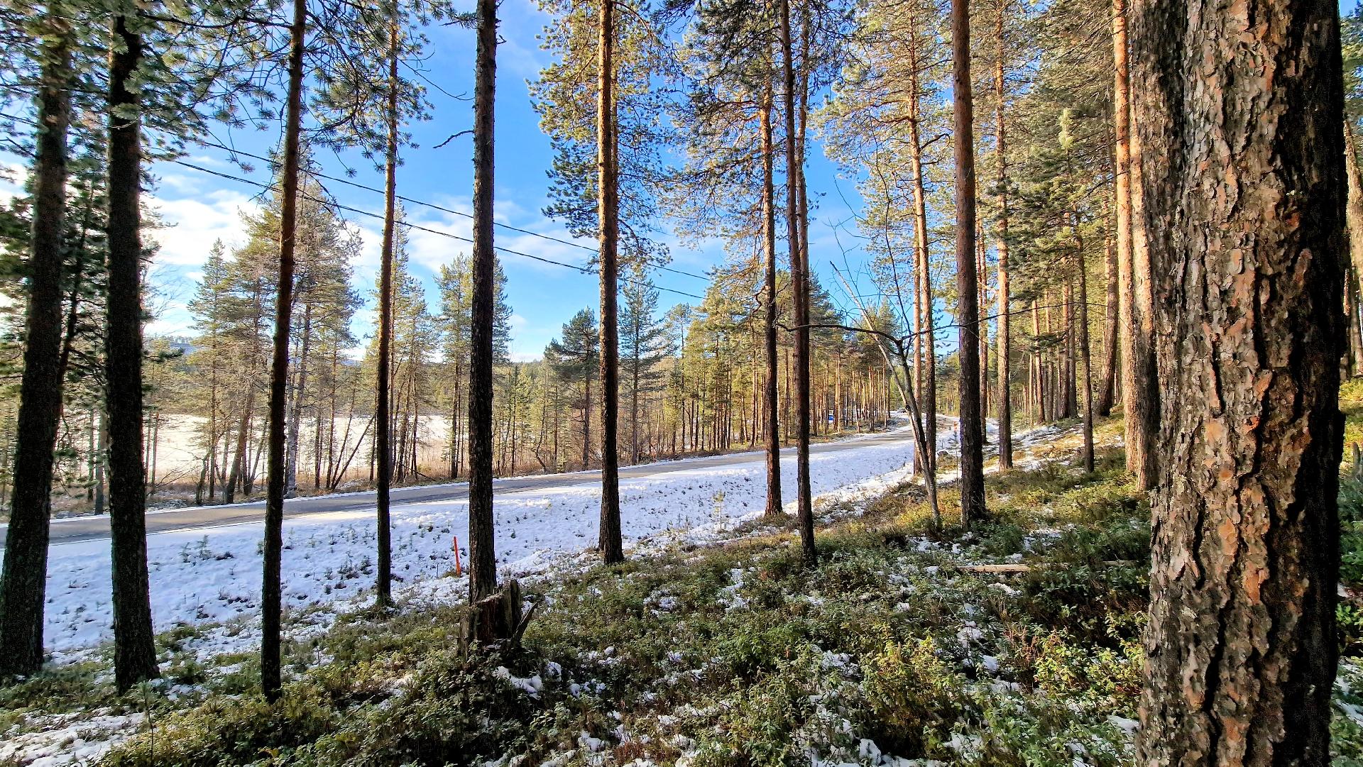 Näkymä Tolosentien yli Alajärvelle
