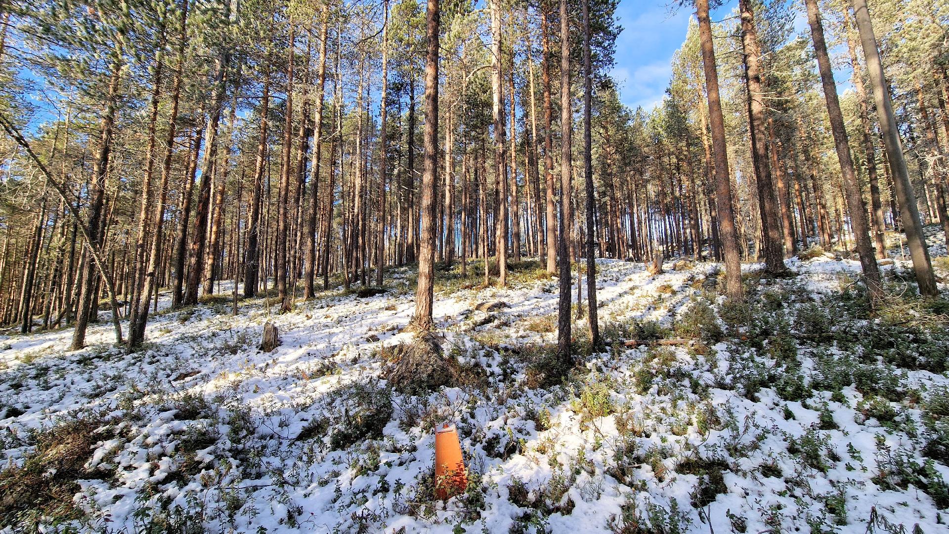 Rajapyykki 48: Ylös rinteeseen, lentokentän aita näkyy ylhäällä.