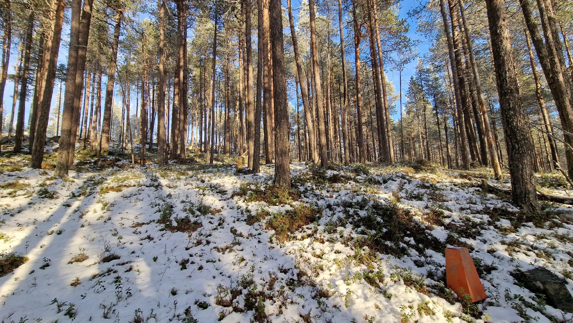 Rajapyykki 41: Ylös rinteen suuntaan