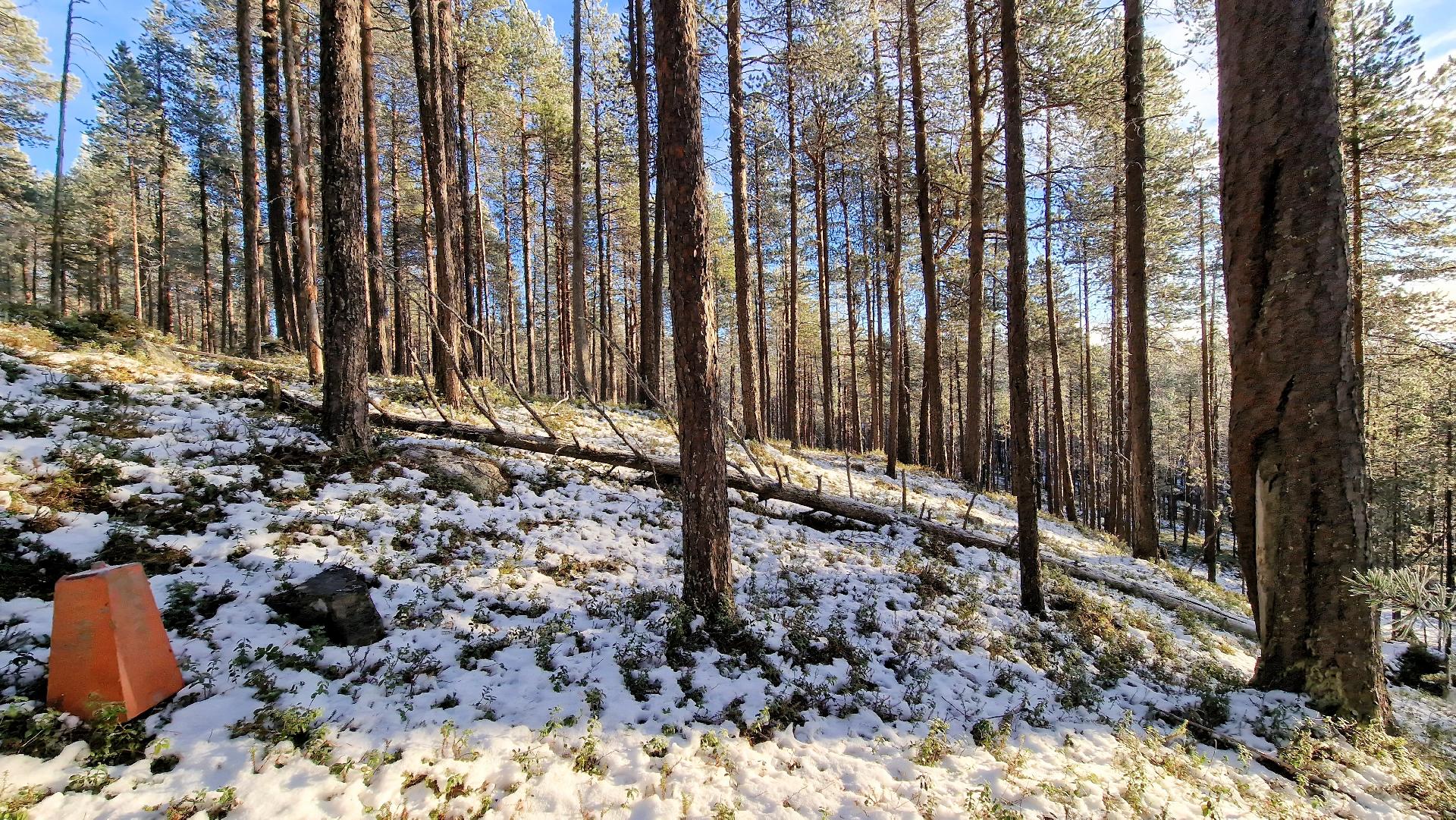 Rajapyykki 41: Rinnettä