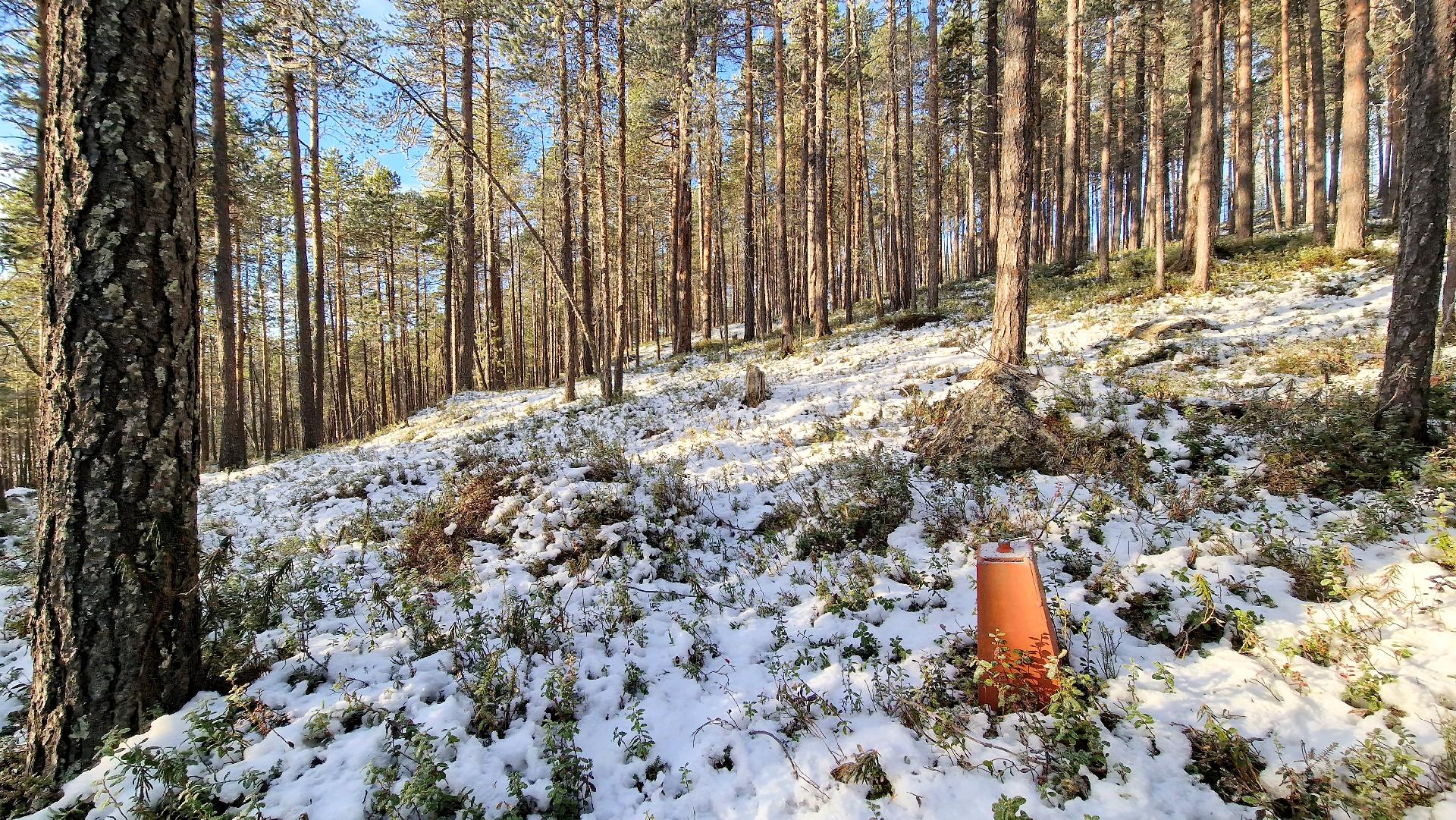 Rajapyykki 48: Rinnettä