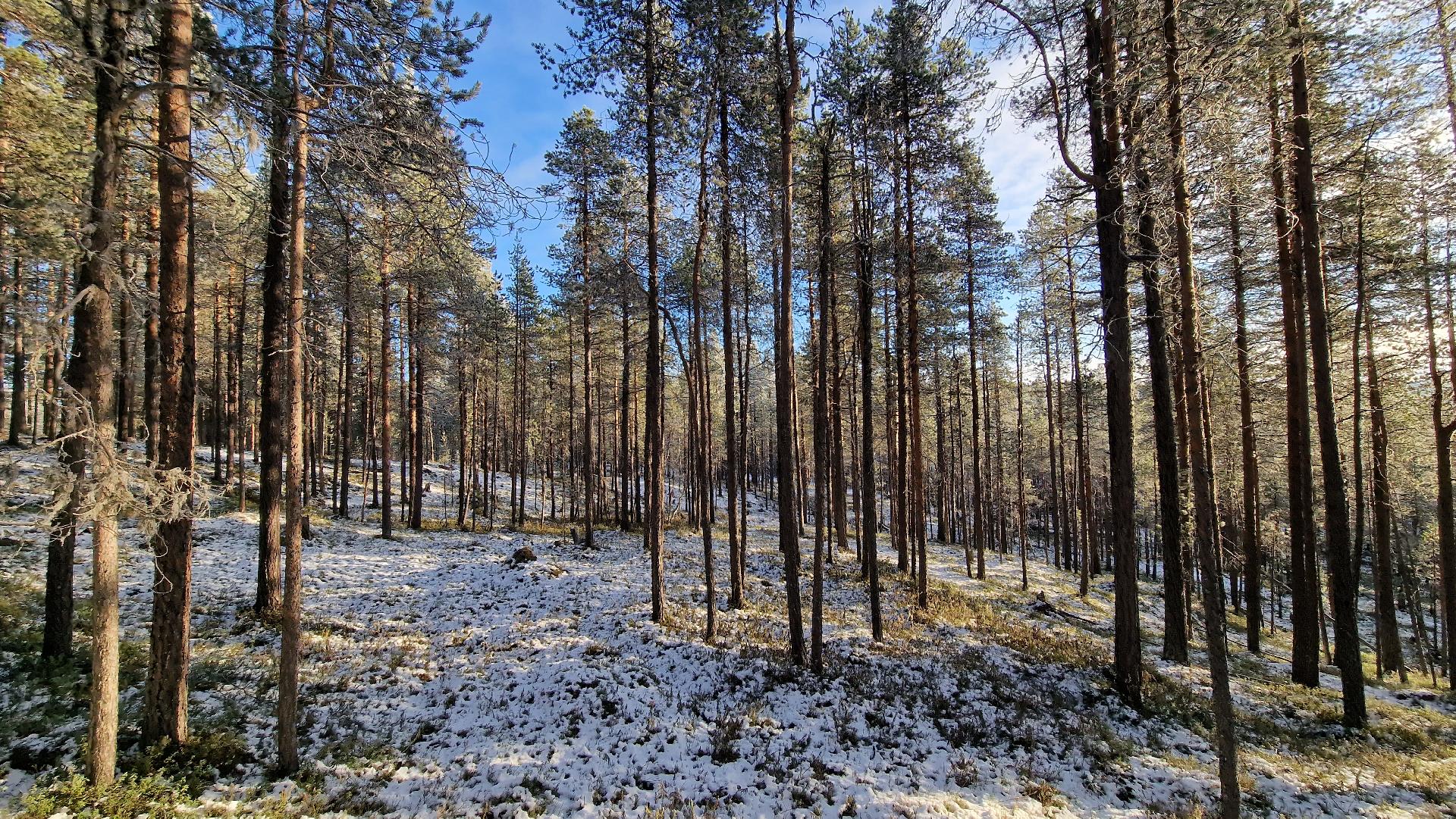 Keskellä hieman tasaisempaa kohtaa