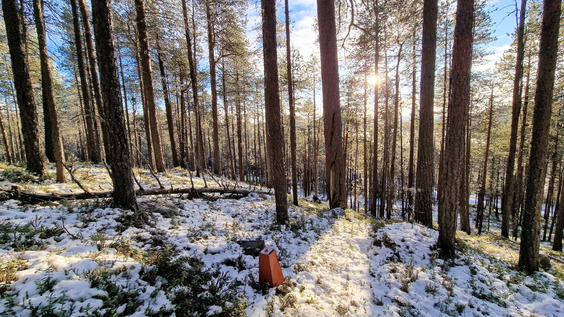 Rajapyykki 41: Alas rinettä