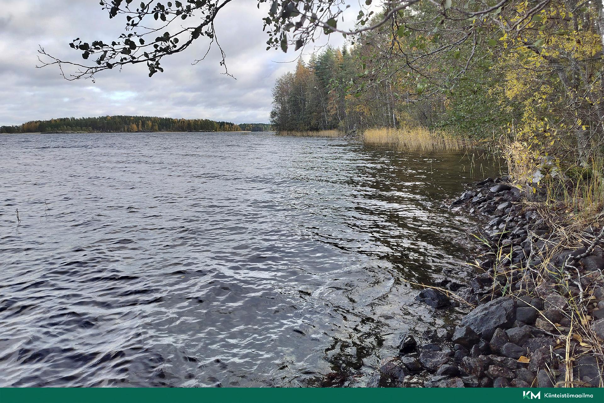 Rauhakiventie tontit 1, 2, 3 ja 6, Ristiina, Mikkeli