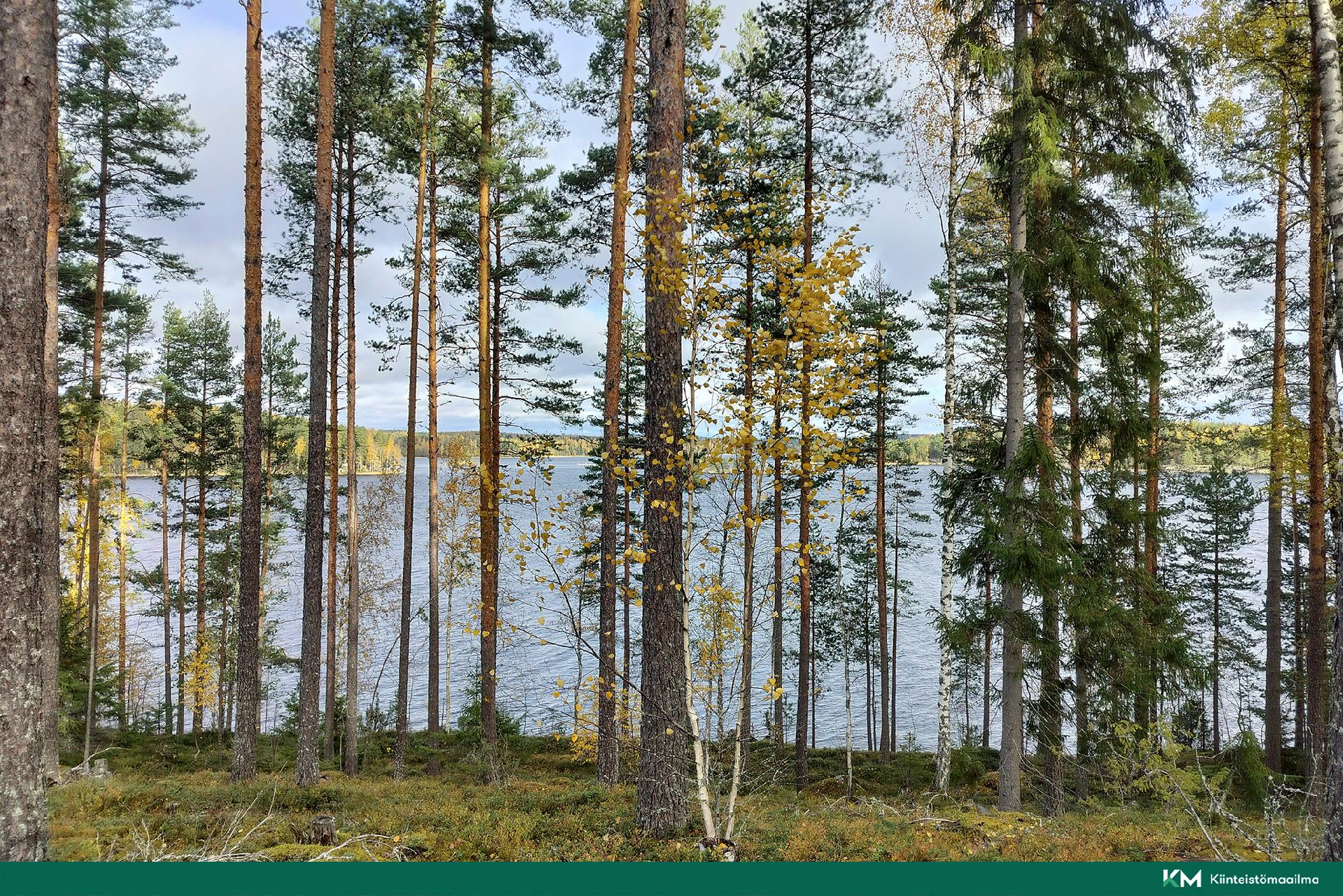 Rauhakiventie tontit 1, 2, 3 ja 6, Ristiina, Mikkeli